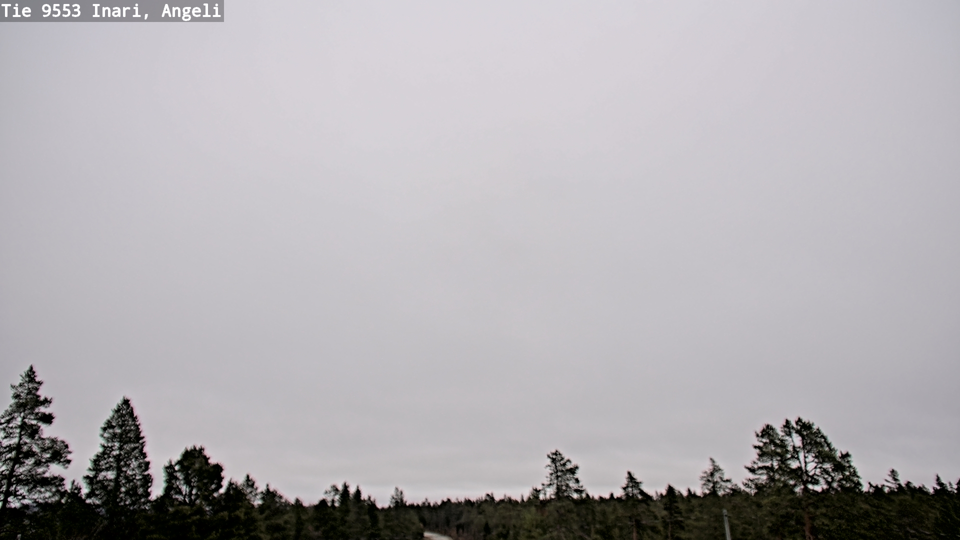 Kelikamerat Kuva Tie 9553 Inari, Angeli, Lintupuolivaara, Inari, Lappi
