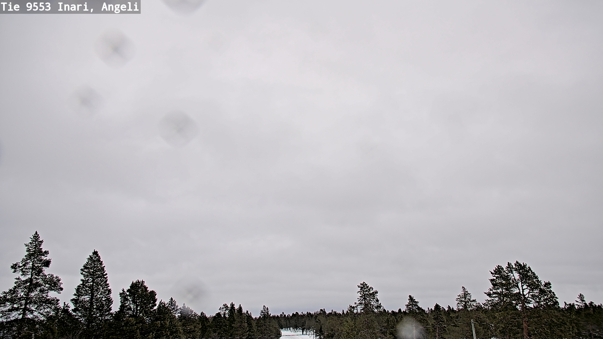 Kelikamerat Kuva Tie 9553 Inari, Angeli, Lintupuolivaara, Inari, Lappi