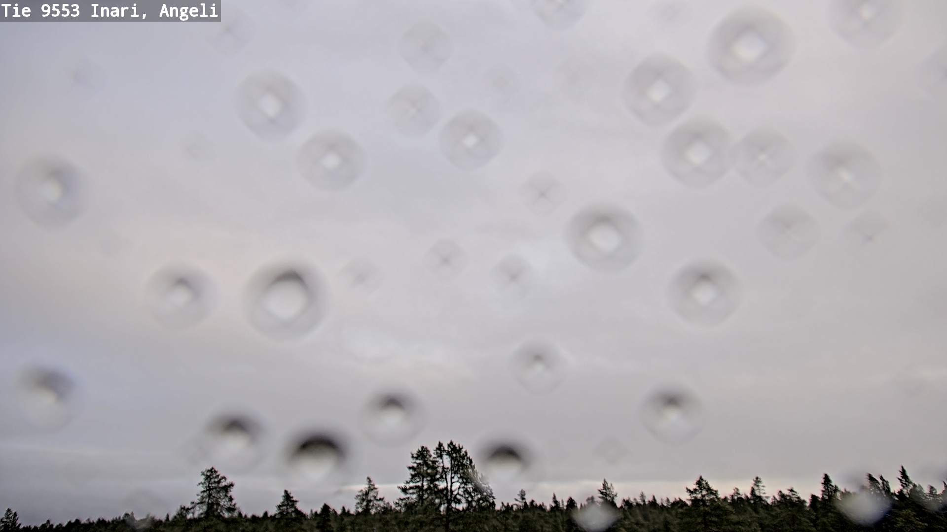 Kelikamerat Kuva Tie 9553 Inari, Angeli, Lintupuolivaara, Inari, Lappi