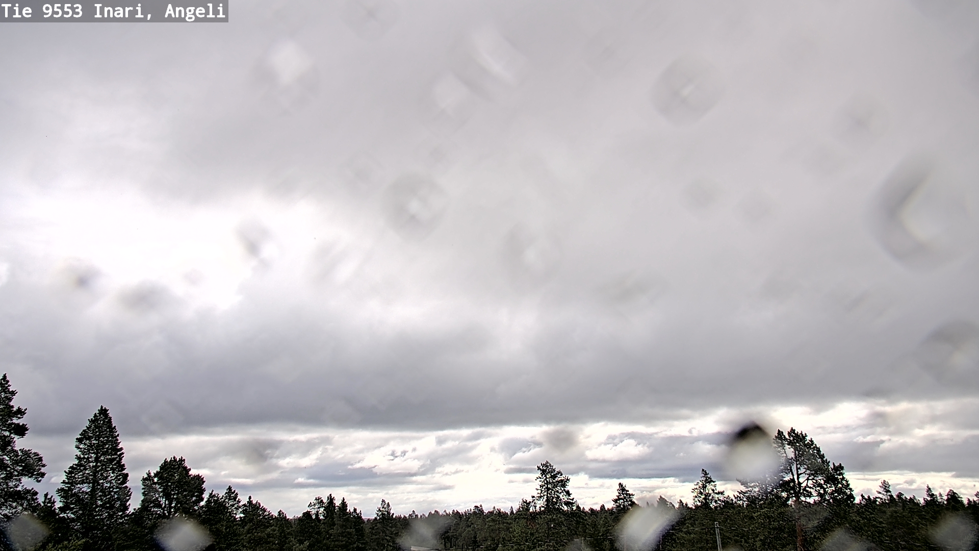 Weather Camera Image Road 9553 Inari, Angeli, Lintupuolivaara, Inari, Lappi