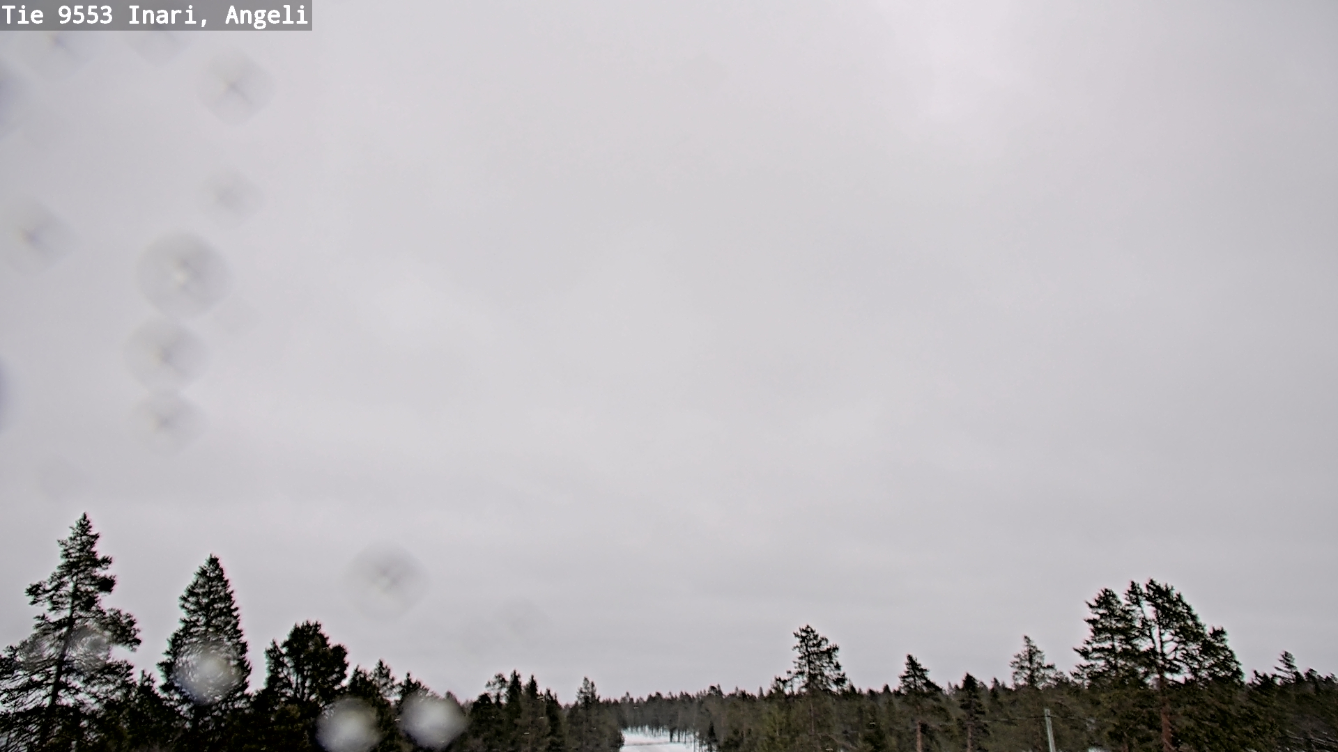 Kelikamerat Kuva Tie 9553 Inari, Angeli, Lintupuolivaara, Inari, Lappi