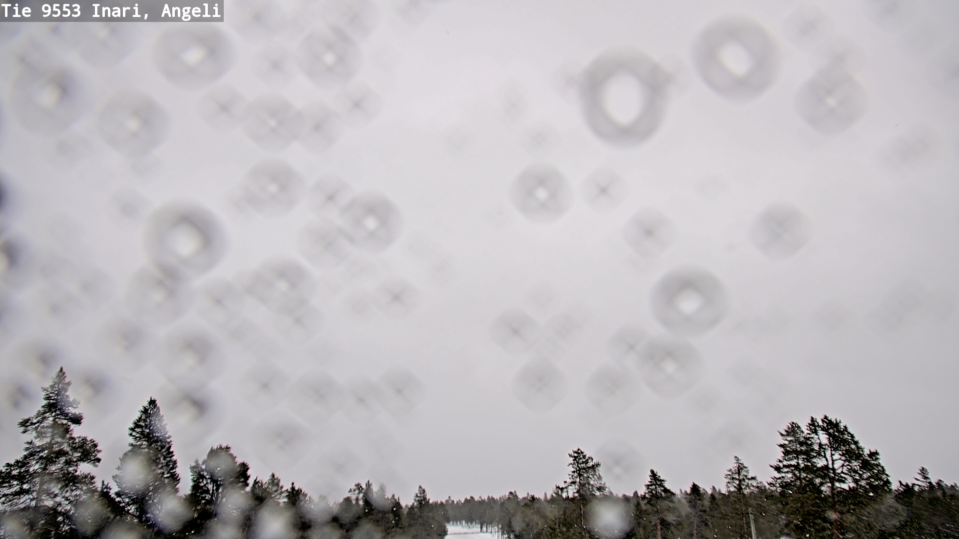 Kelikamerat Kuva Tie 9553 Inari, Angeli, Lintupuolivaara, Inari, Lappi