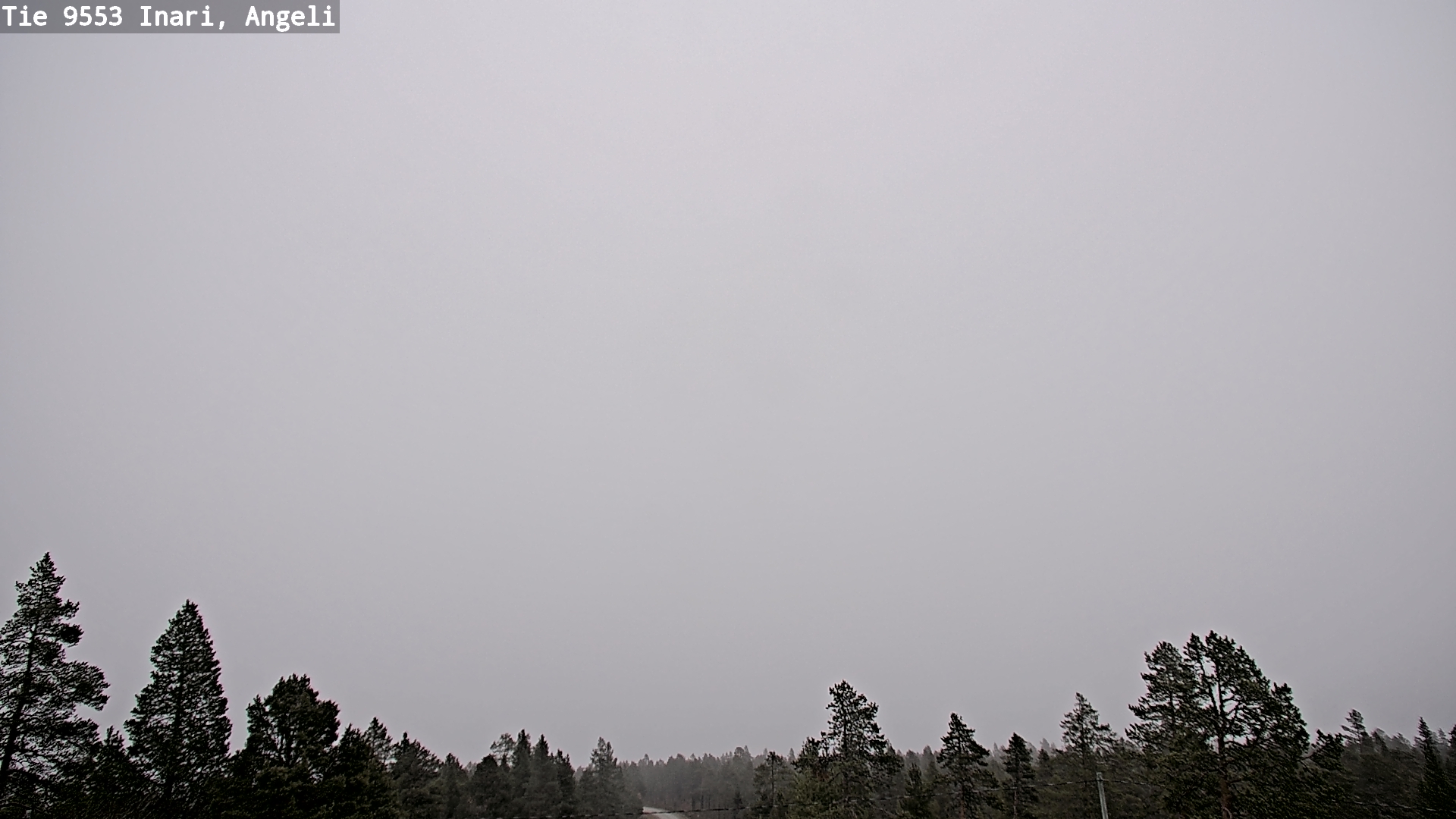 Kelikamerat Kuva Tie 9553 Inari, Angeli, Lintupuolivaara, Inari, Lappi