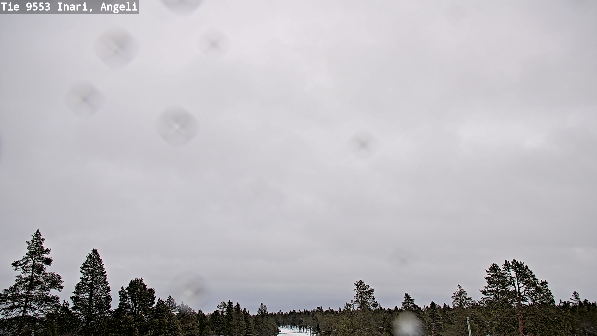 Kelikamerat Kuva Tie 9553 Inari, Angeli, Lintupuolivaara, Inari, Lappi