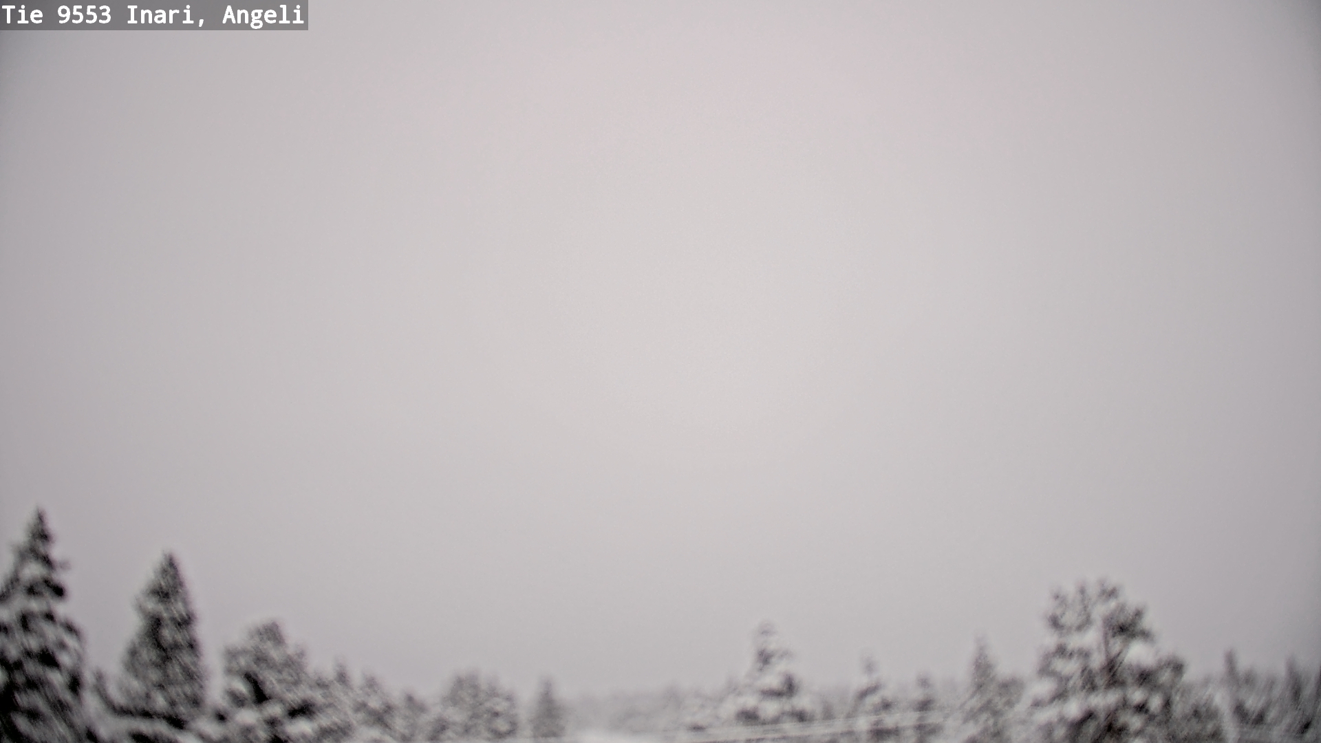 Weather Camera Image Road 9553 Inari, Angeli, Lintupuolivaara, Inari, Lappi