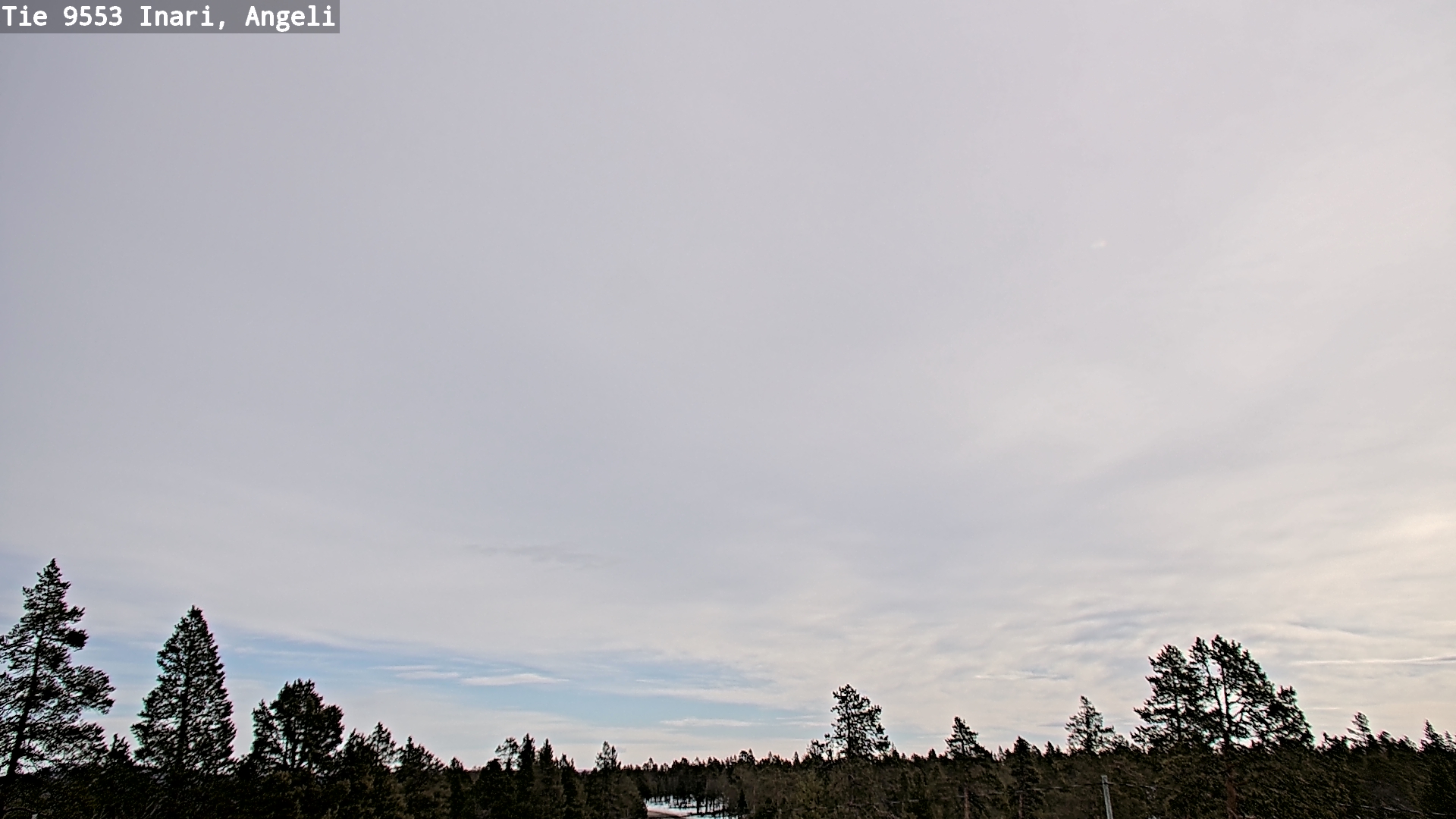 Weather Camera Image Road 9553 Inari, Angeli, Lintupuolivaara, Inari, Lappi