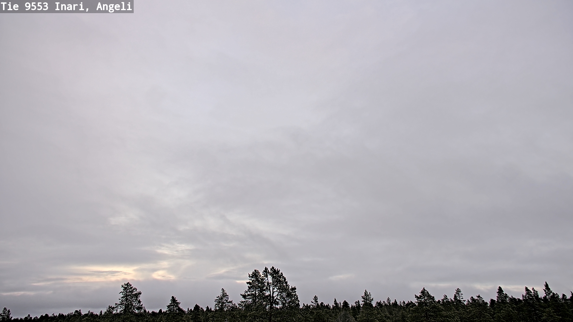 Kelikamerat Kuva Tie 9553 Inari, Angeli, Lintupuolivaara, Inari, Lappi