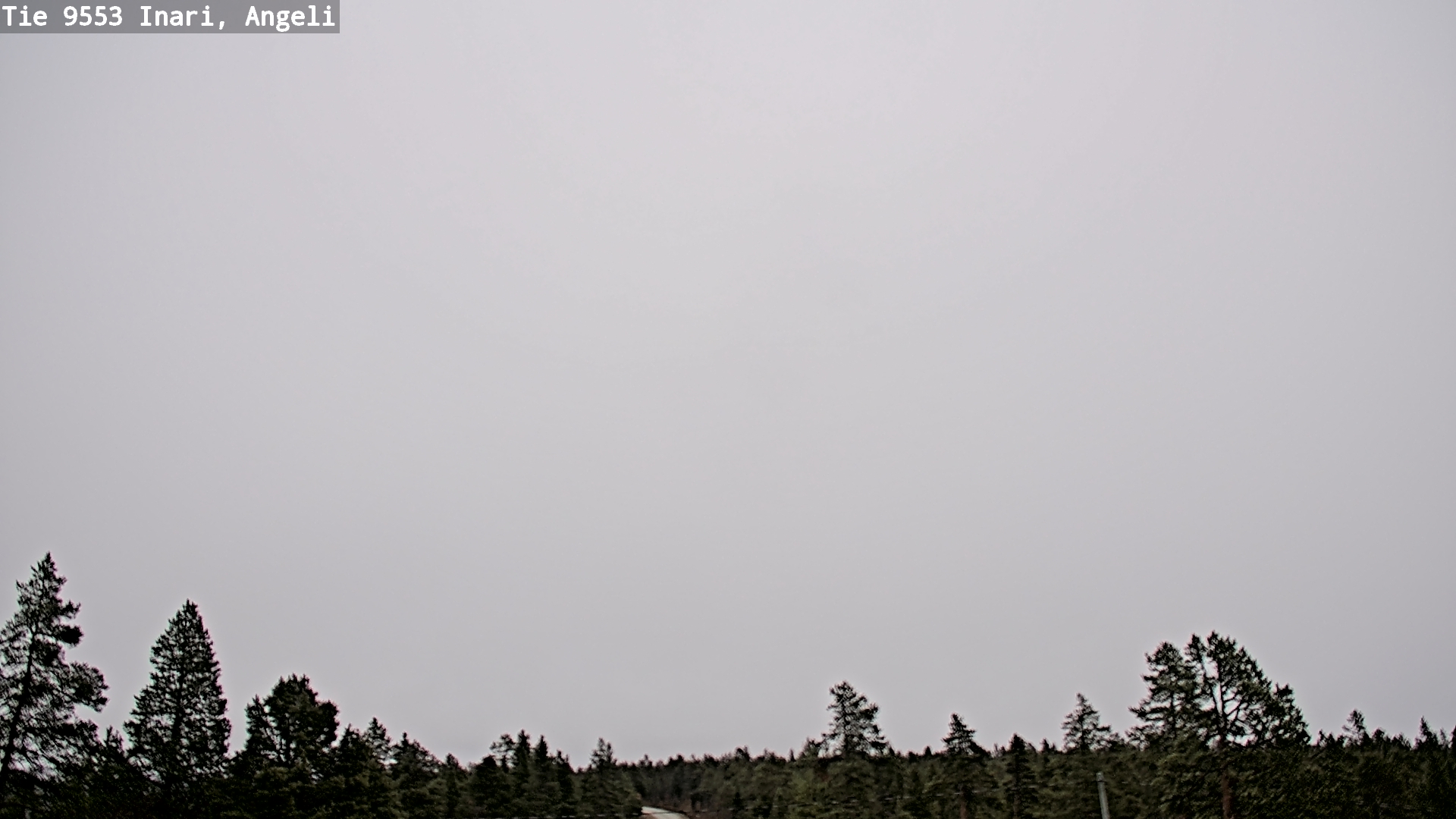 Weather Camera Image Road 9553 Inari, Angeli, Lintupuolivaara, Inari, Lappi