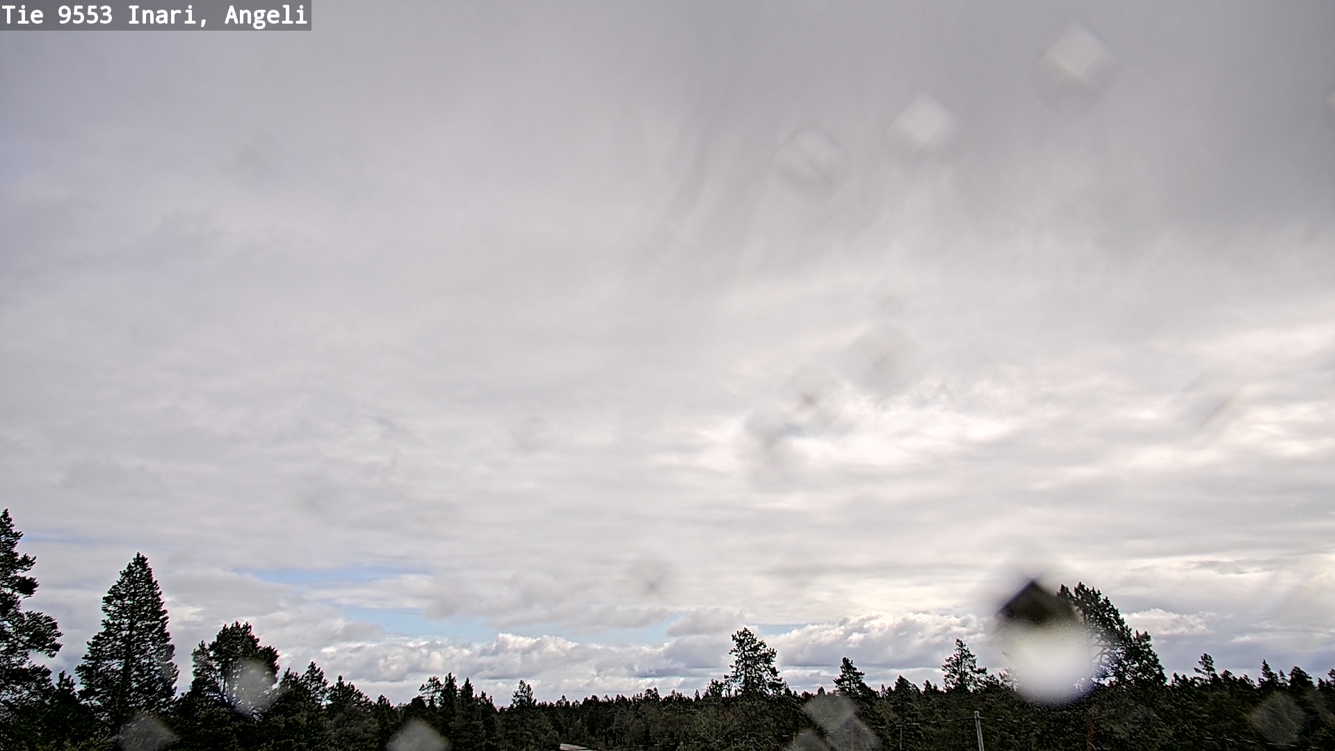 Weather Camera Image Road 9553 Inari, Angeli, Lintupuolivaara, Inari, Lappi