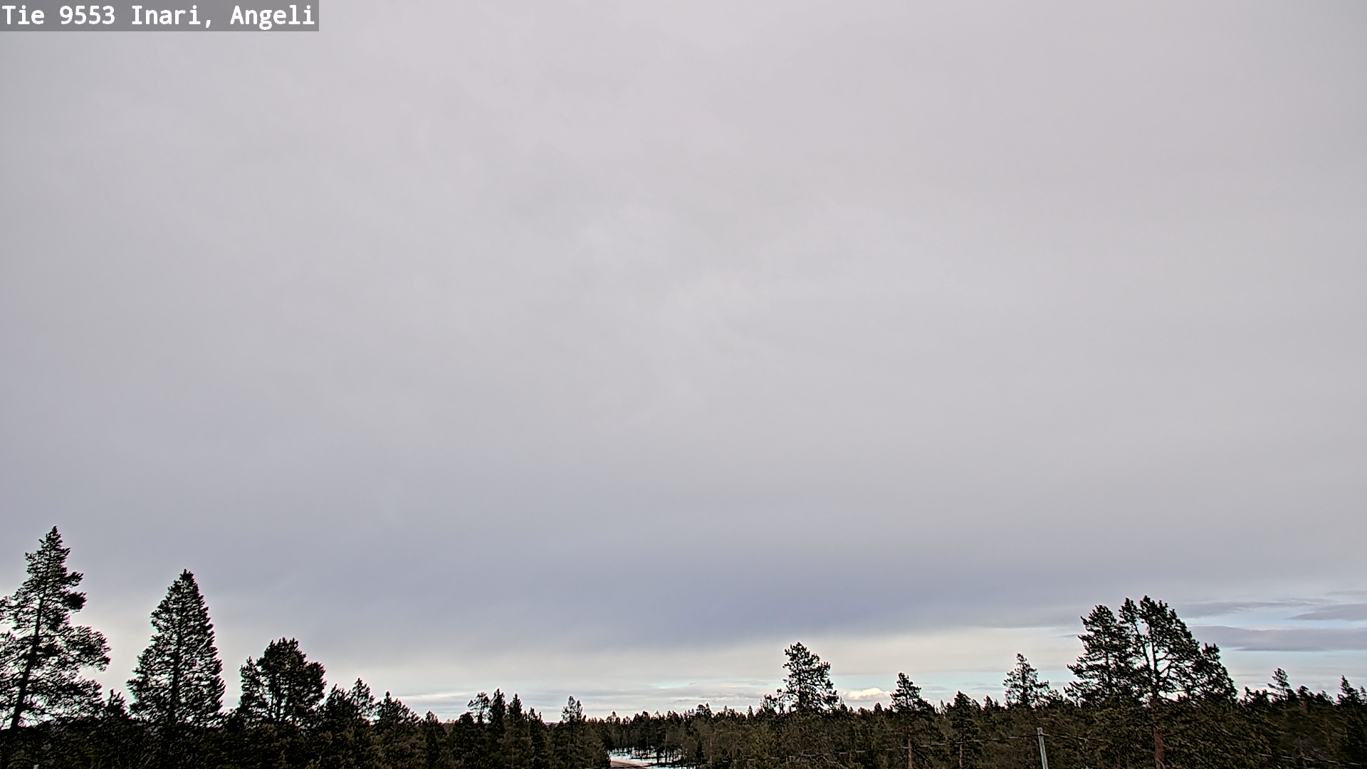 Weather Camera Image Road 9553 Inari, Angeli, Lintupuolivaara, Inari, Lappi
