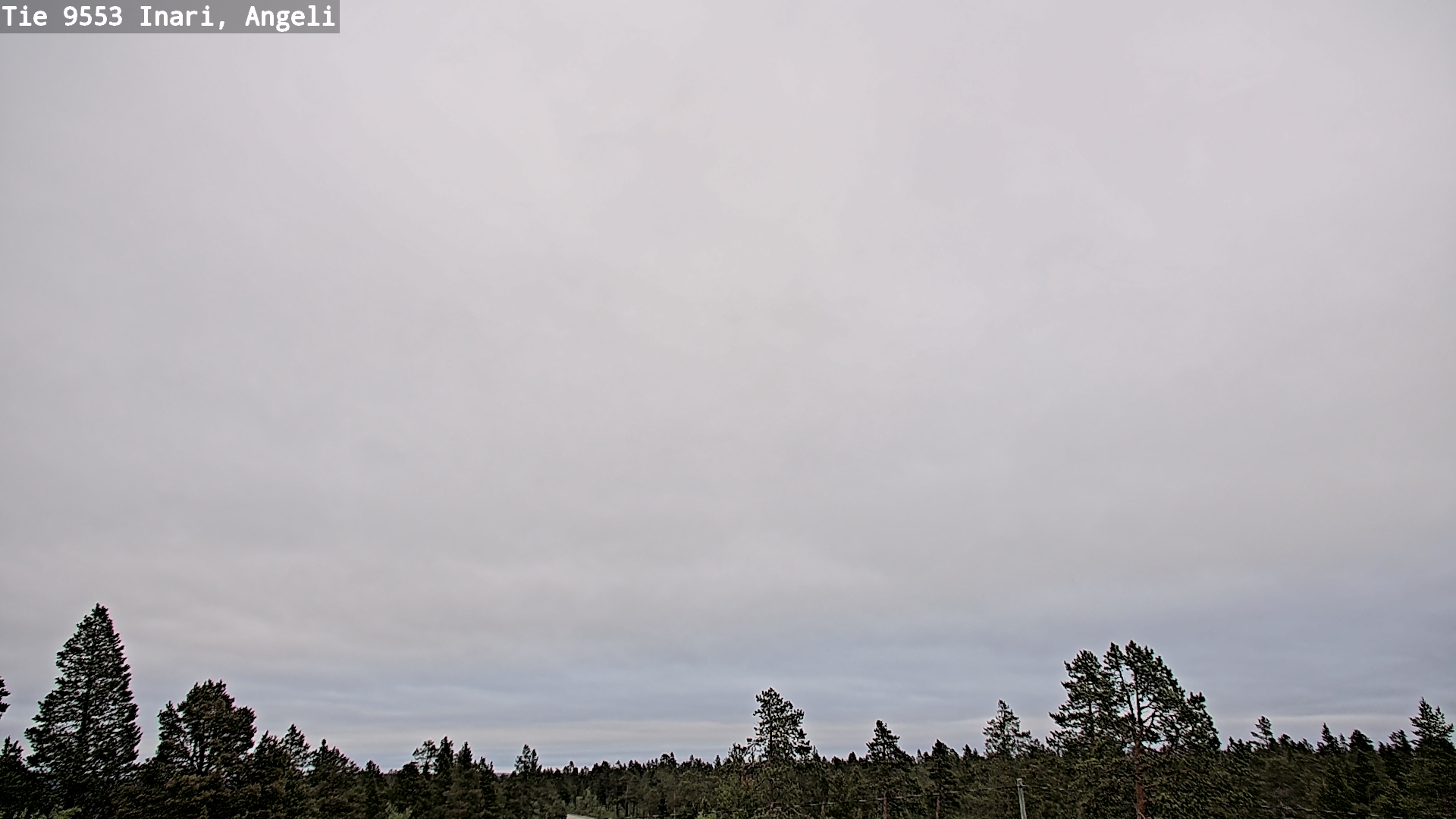 Kelikamerat Kuva Tie 9553 Inari, Angeli, Lintupuolivaara, Inari, Lappi