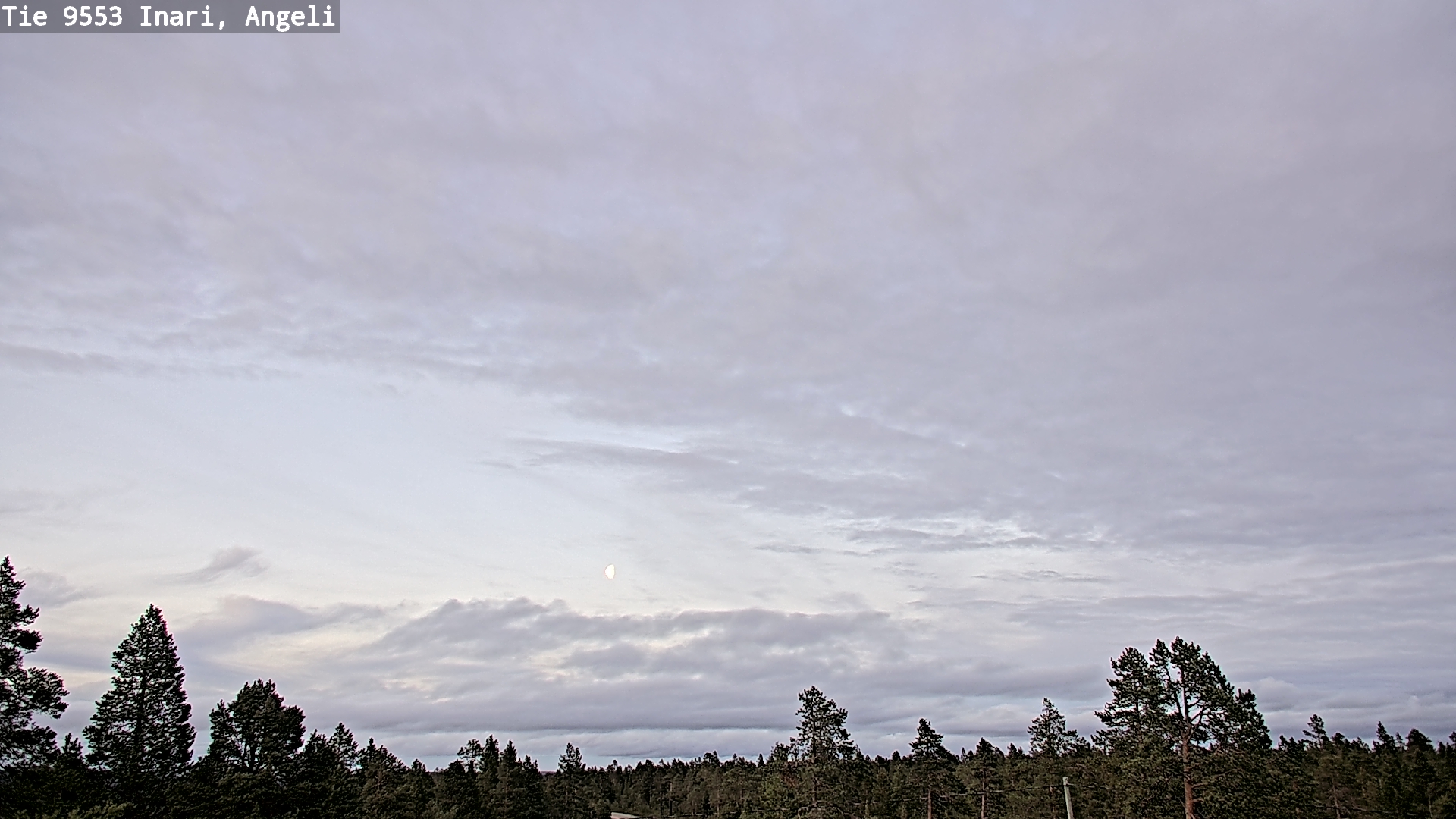 Kelikamerat Kuva Tie 9553 Inari, Angeli, Lintupuolivaara, Inari, Lappi
