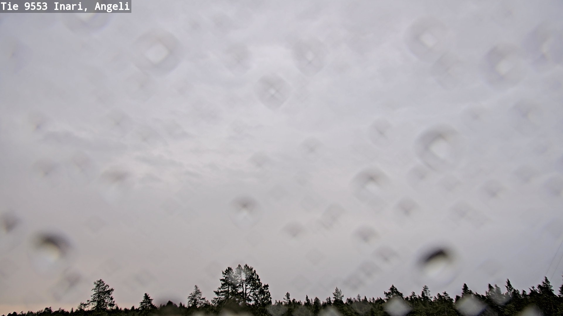 Kelikamerat Kuva Tie 9553 Inari, Angeli, Lintupuolivaara, Inari, Lappi