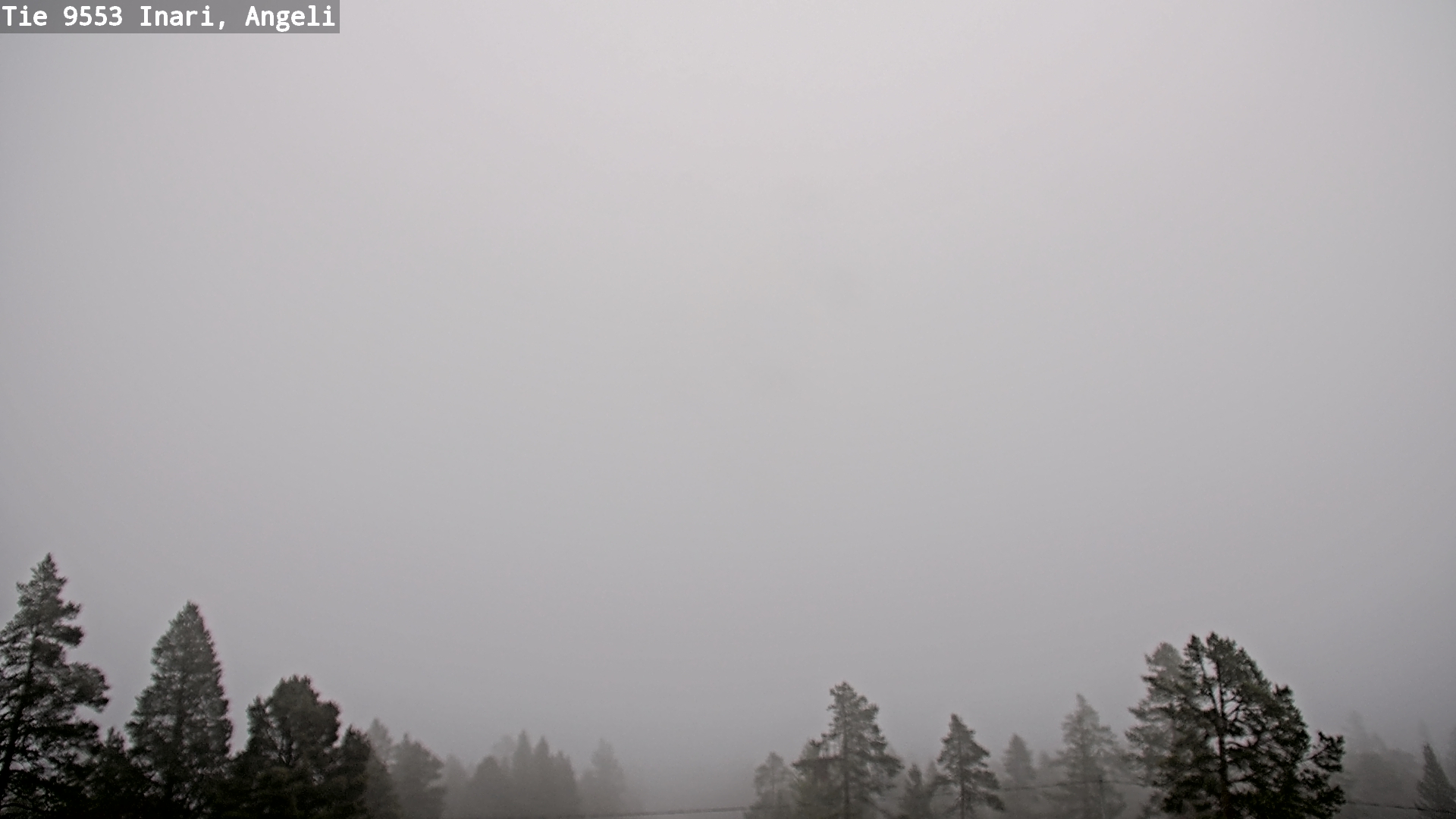 Weather Camera Image Road 9553 Inari, Angeli, Lintupuolivaara, Inari, Lappi