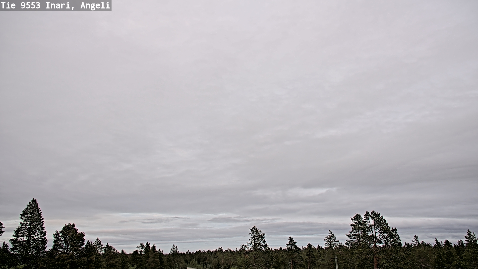 Kelikamerat Kuva Tie 9553 Inari, Angeli, Lintupuolivaara, Inari, Lappi