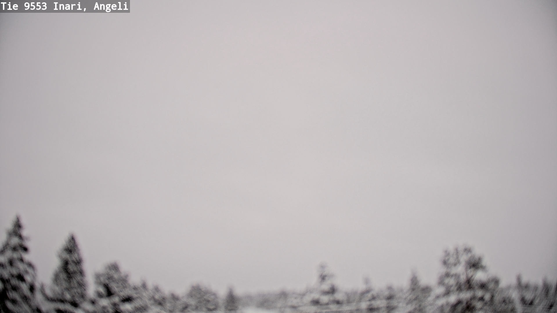 Weather Camera Image Road 9553 Inari, Angeli, Lintupuolivaara, Inari, Lappi
