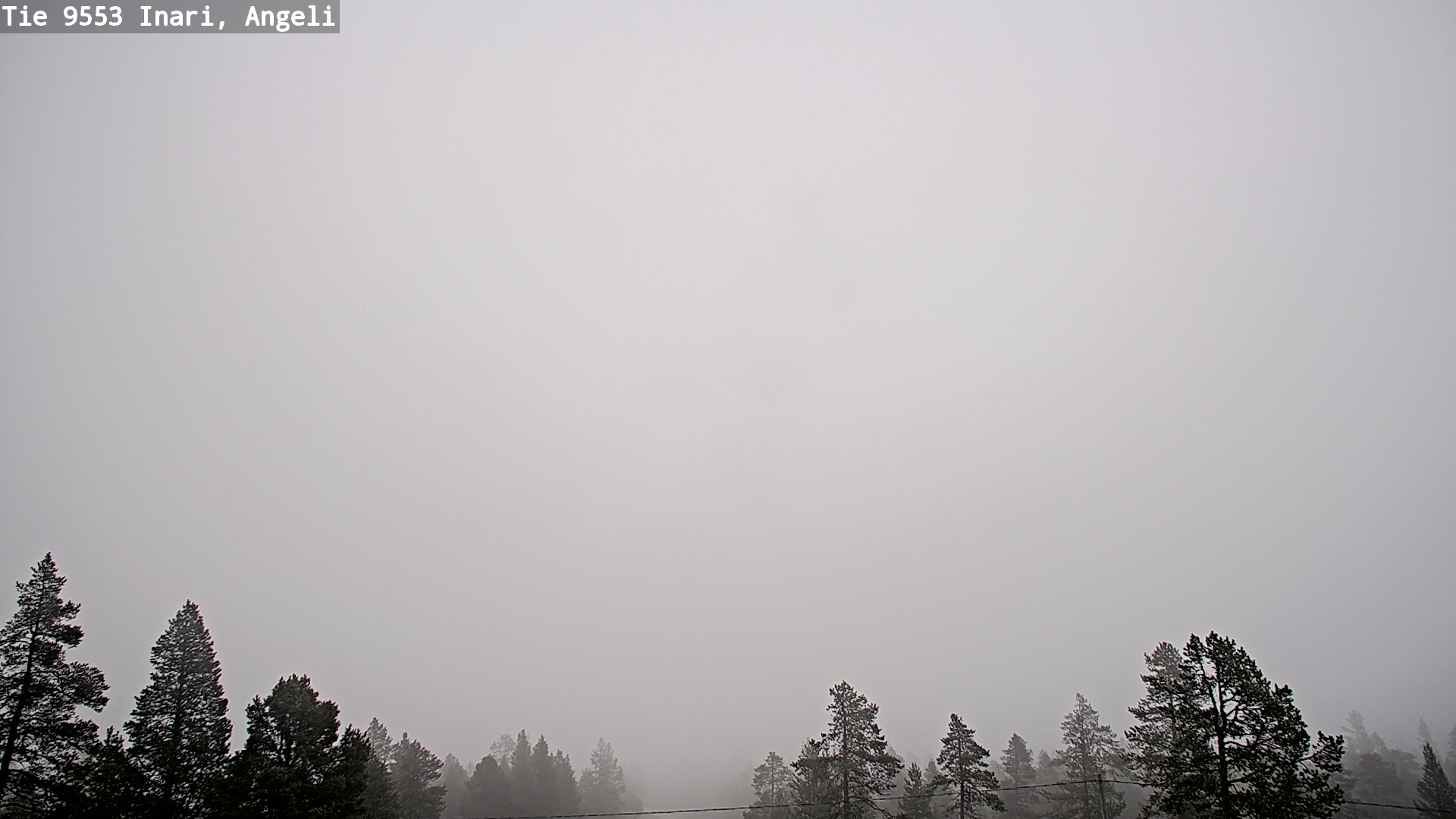Weather Camera Image Road 9553 Inari, Angeli, Lintupuolivaara, Inari, Lappi