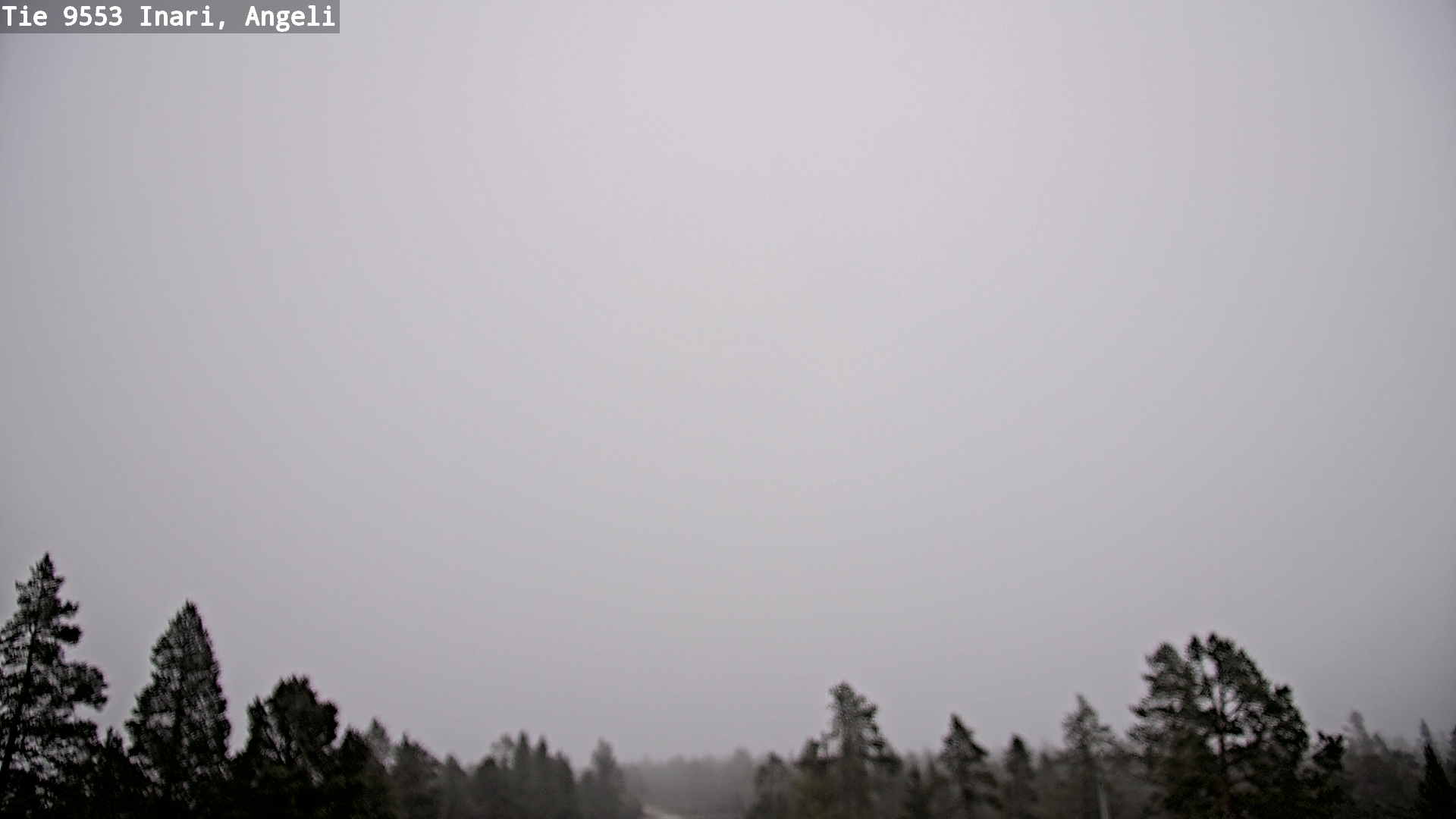 Kelikamerat Kuva Tie 9553 Inari, Angeli, Lintupuolivaara, Inari, Lappi