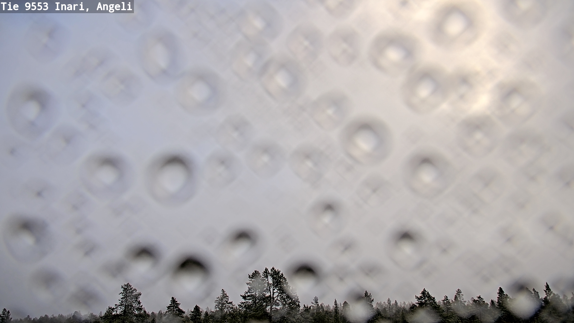 Kelikamerat Kuva Tie 9553 Inari, Angeli, Lintupuolivaara, Inari, Lappi