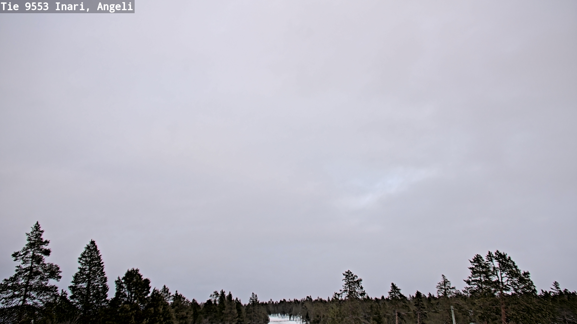 Weather Camera Image Road 9553 Inari, Angeli, Lintupuolivaara, Inari, Lappi
