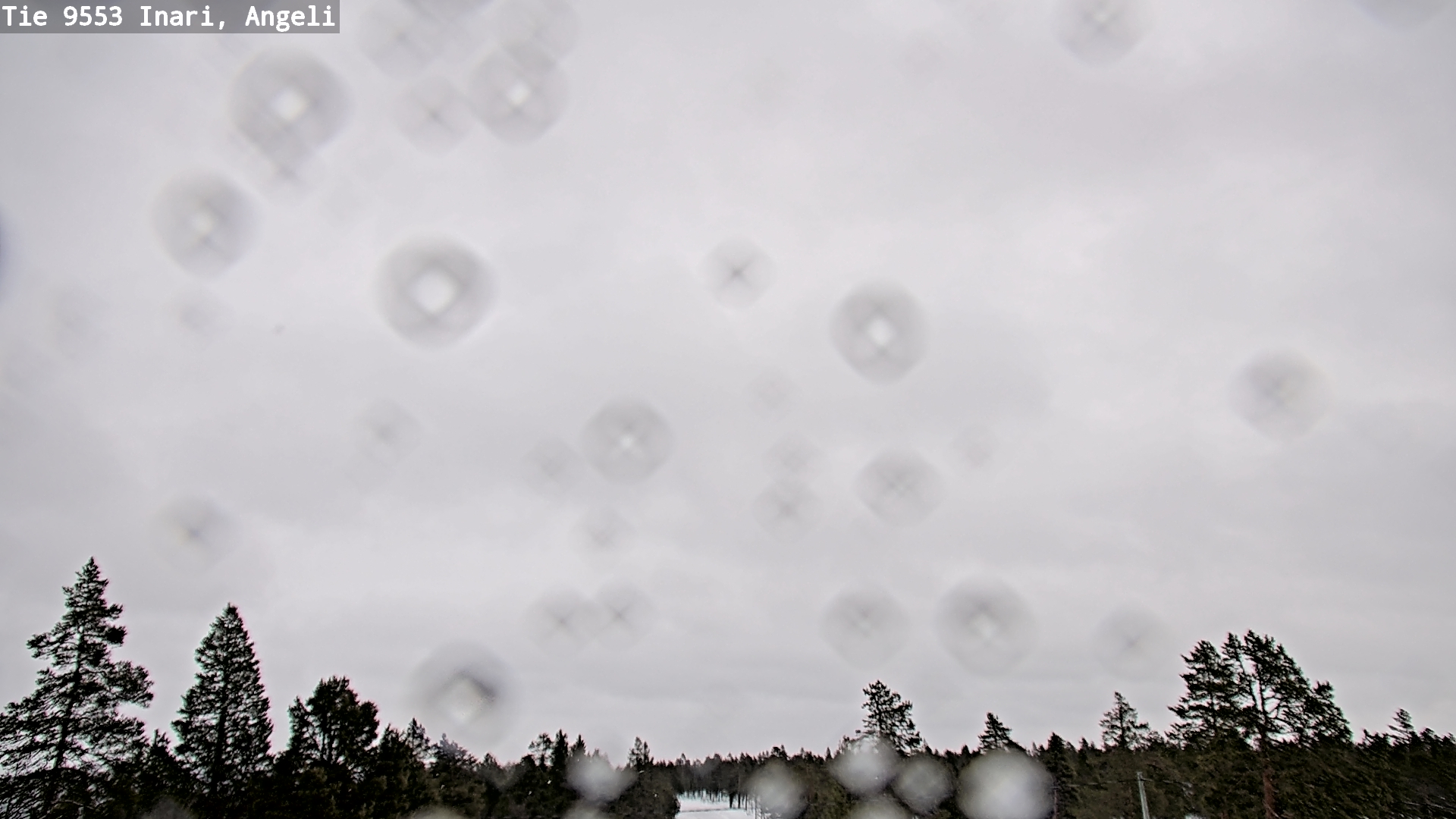 Kelikamerat Kuva Tie 9553 Inari, Angeli, Lintupuolivaara, Inari, Lappi