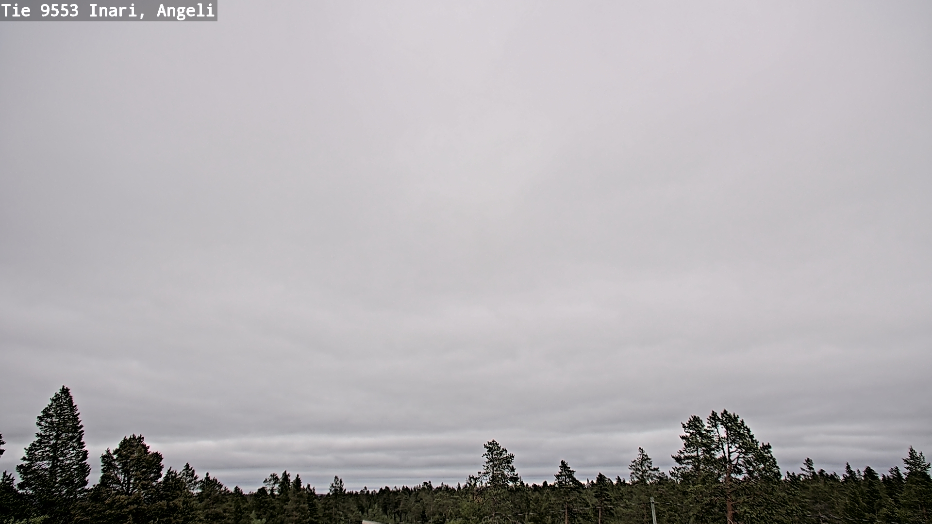 Weather Camera Image Road 9553 Inari, Angeli, Lintupuolivaara, Inari, Lappi
