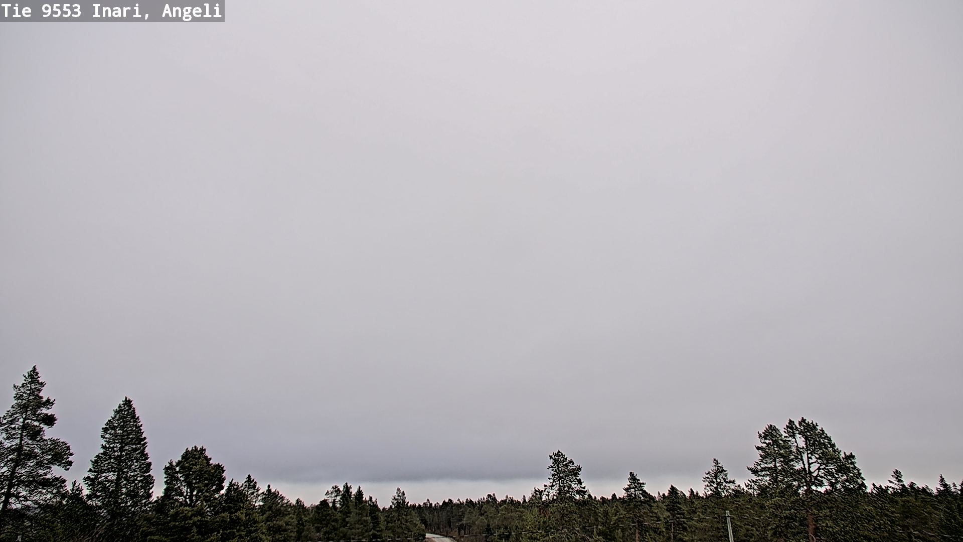 Weather Camera Image Road 9553 Inari, Angeli, Lintupuolivaara, Inari, Lappi