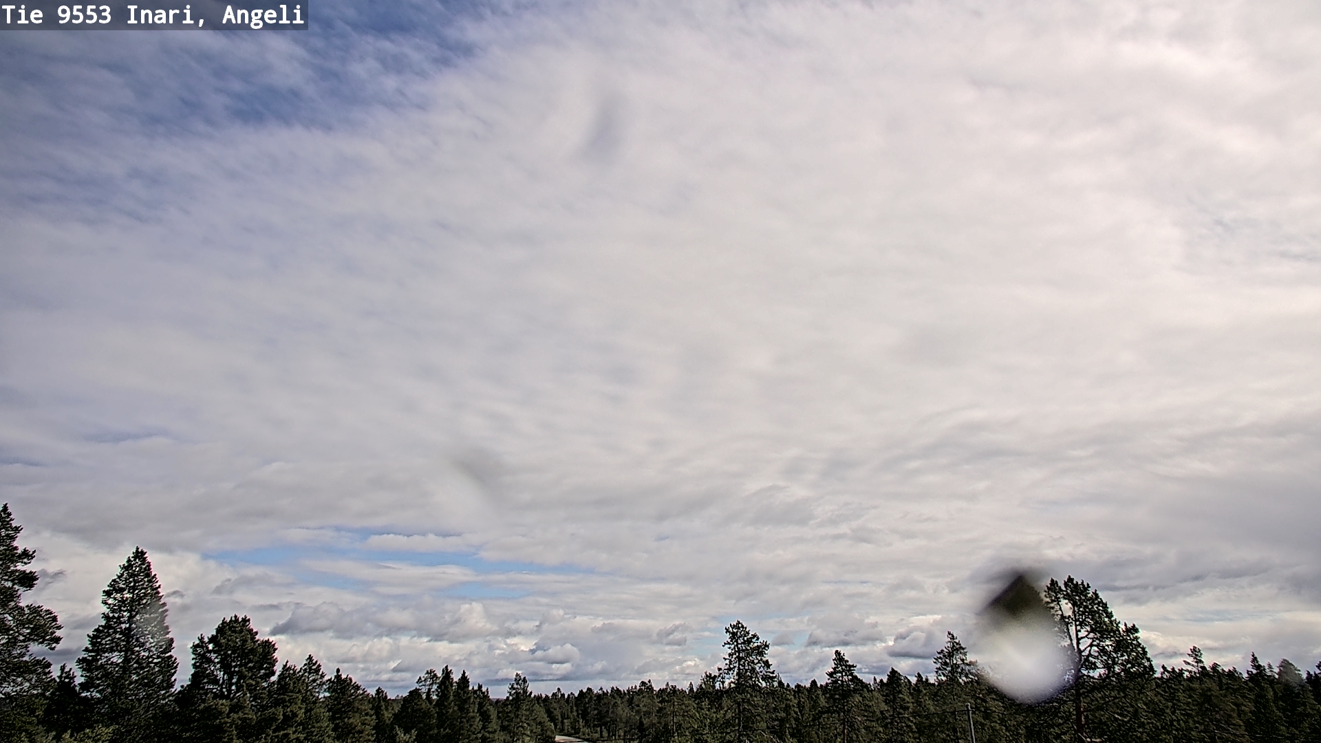 Weather Camera Image Road 9553 Inari, Angeli, Lintupuolivaara, Inari, Lappi