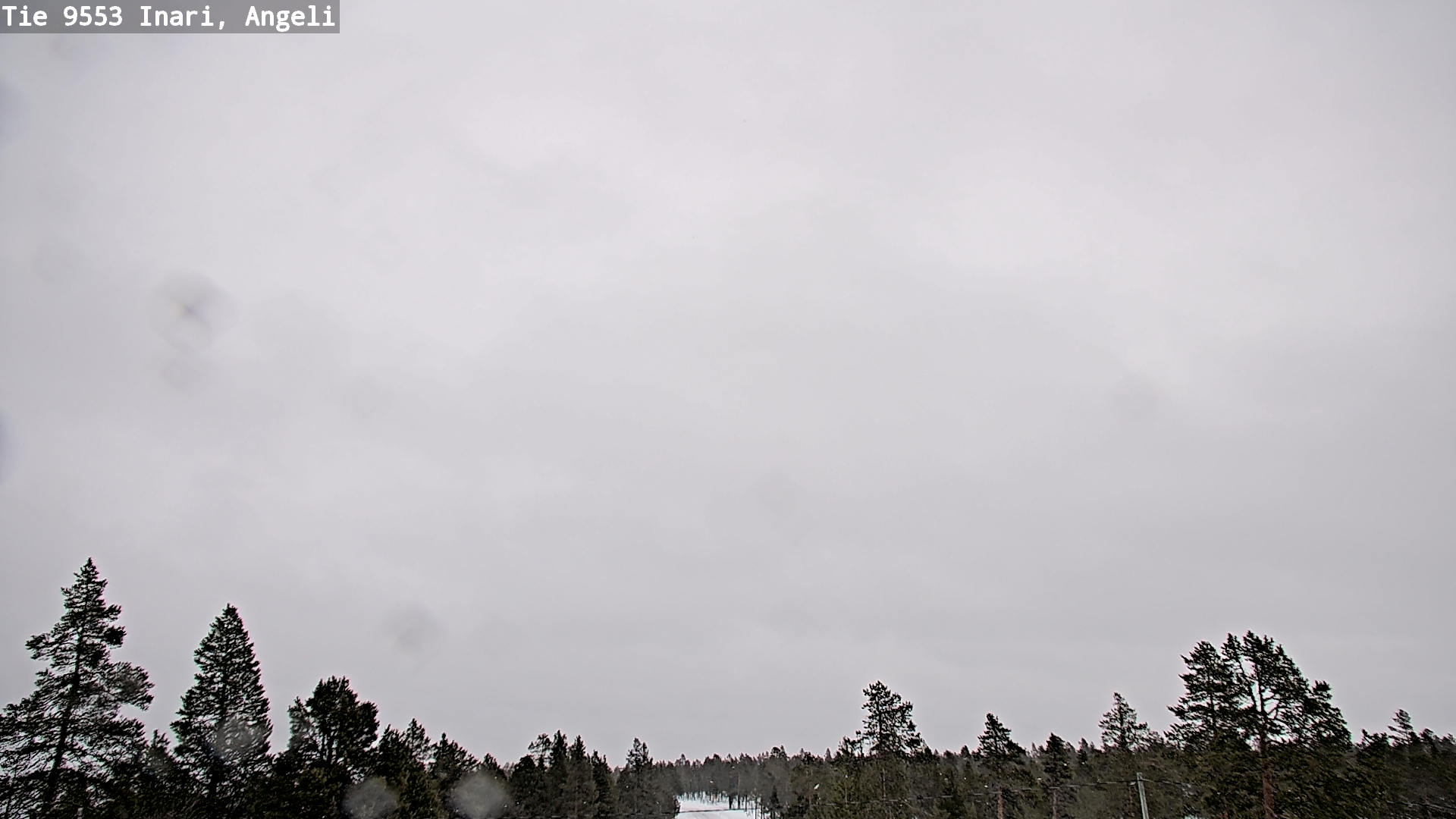 Kelikamerat Kuva Tie 9553 Inari, Angeli, Lintupuolivaara, Inari, Lappi