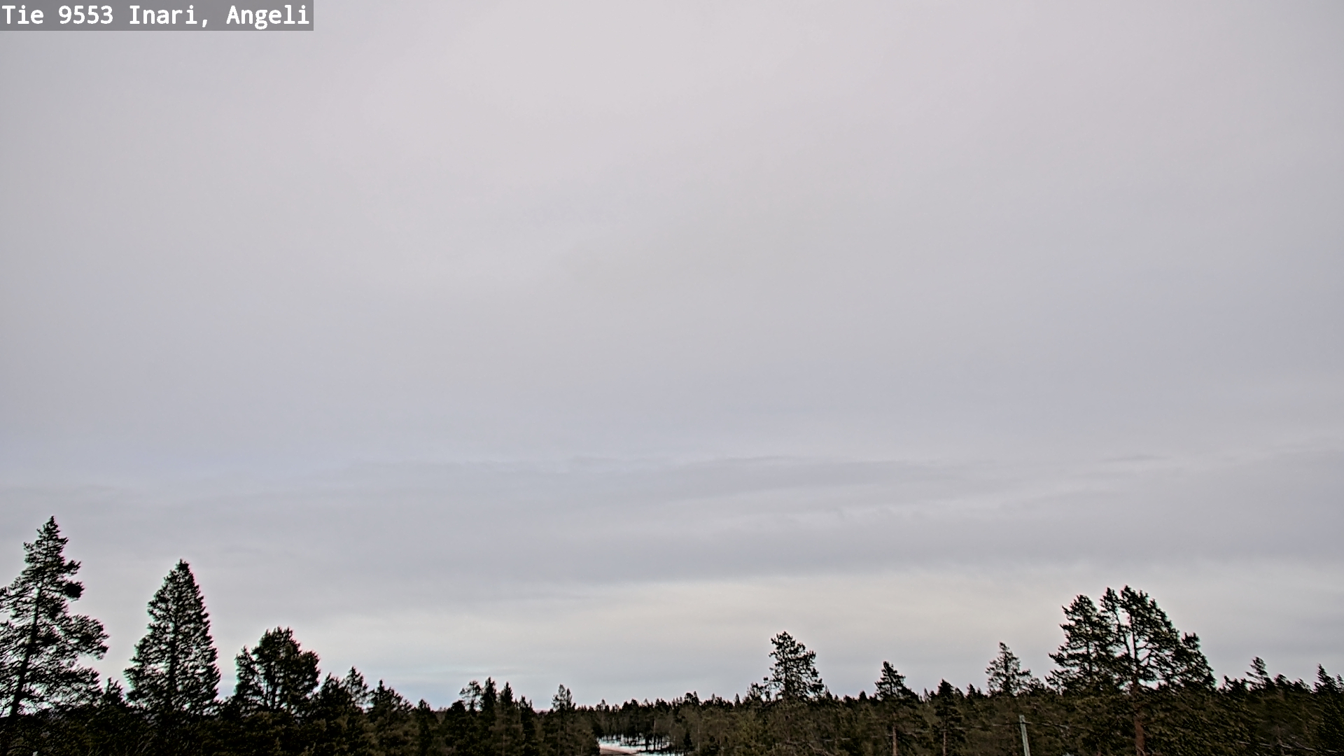 Weather Camera Image Road 9553 Inari, Angeli, Lintupuolivaara, Inari, Lappi
