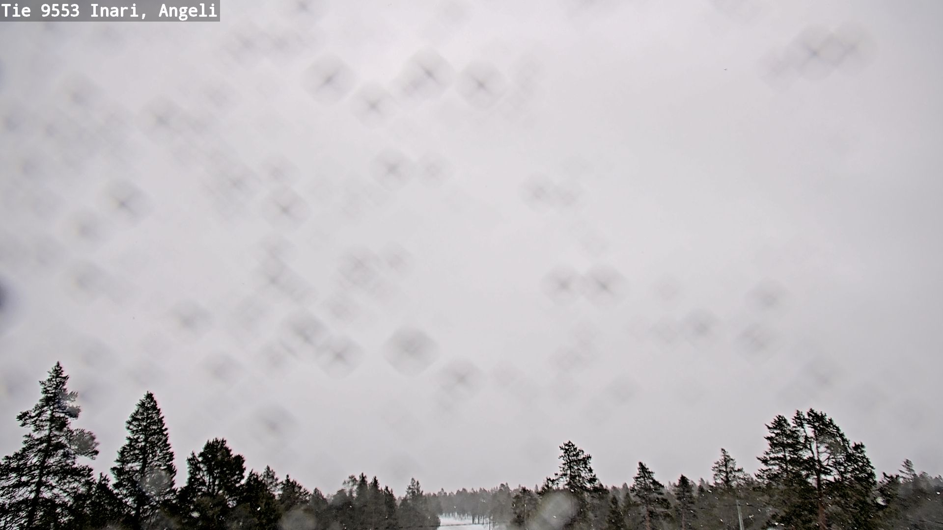 Kelikamerat Kuva Tie 9553 Inari, Angeli, Lintupuolivaara, Inari, Lappi