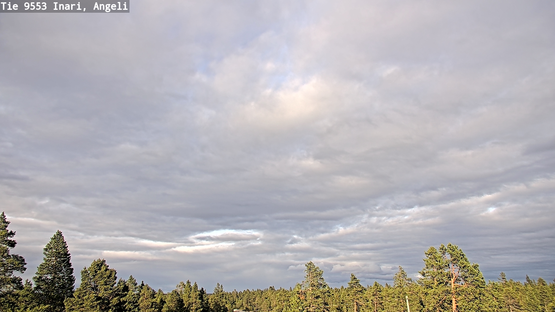 Kelikamerat Kuva Tie 9553 Inari, Angeli, Lintupuolivaara, Inari, Lappi