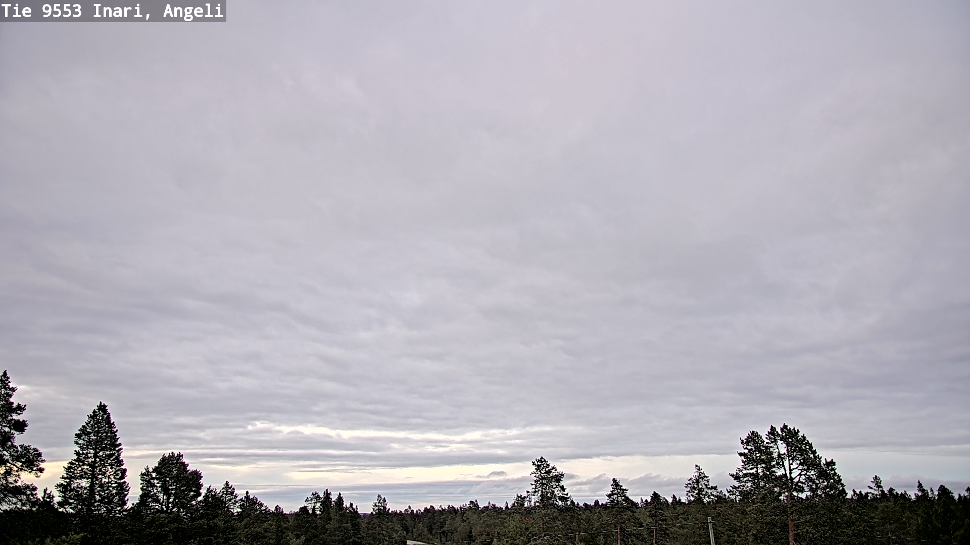Kelikamerat Kuva Tie 9553 Inari, Angeli, Lintupuolivaara, Inari, Lappi