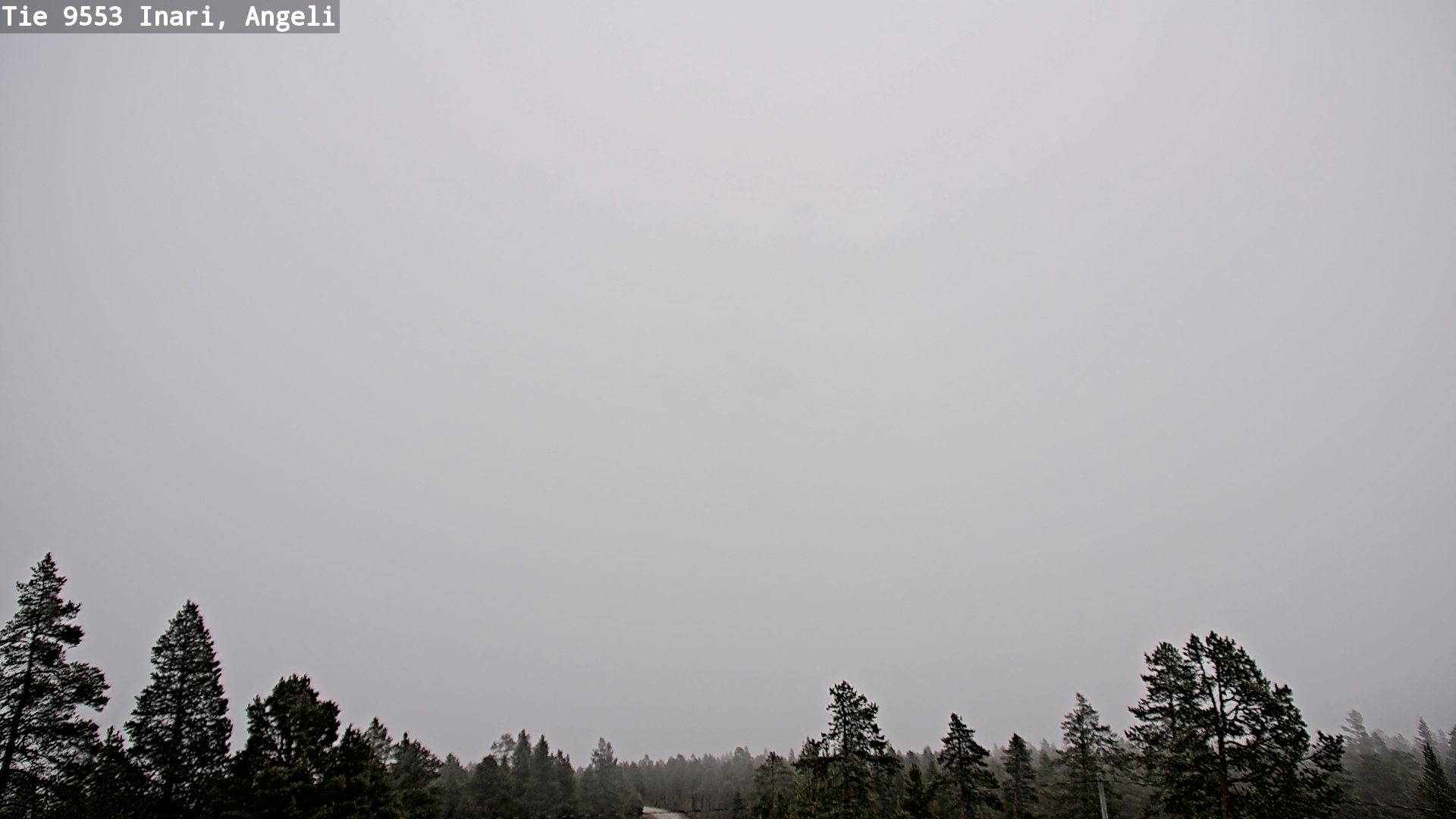 Weather Camera Image Road 9553 Inari, Angeli, Lintupuolivaara, Inari, Lappi