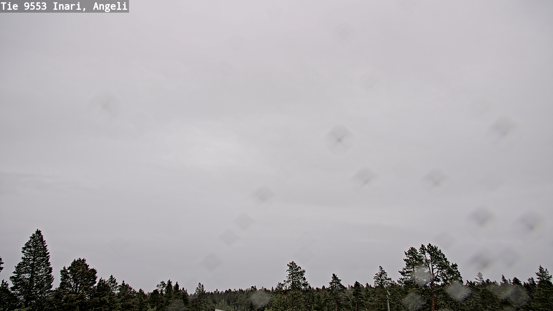 Weather Camera Image Road 9553 Inari, Angeli, Lintupuolivaara, Inari, Lappi