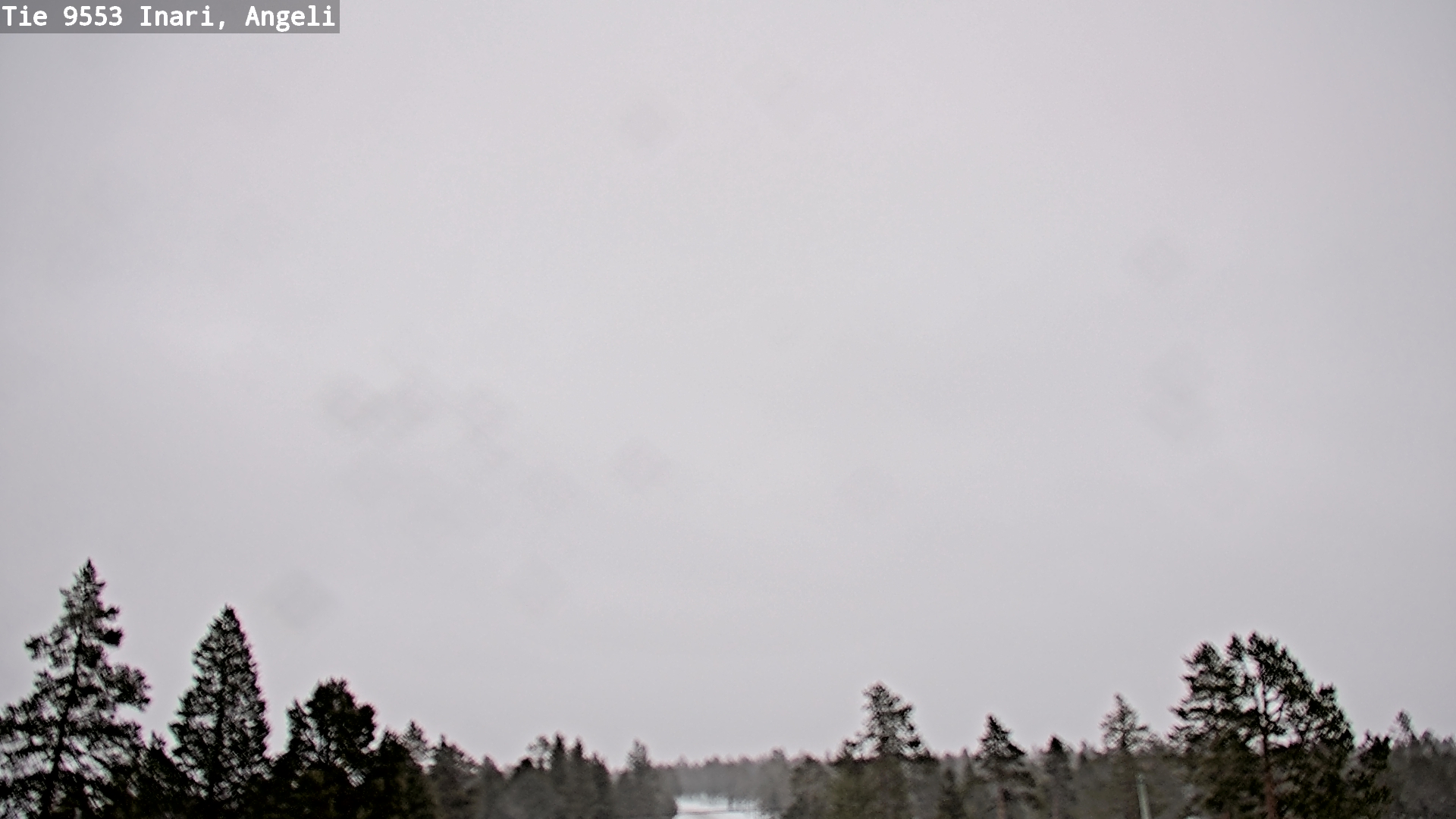 Kelikamerat Kuva Tie 9553 Inari, Angeli, Lintupuolivaara, Inari, Lappi