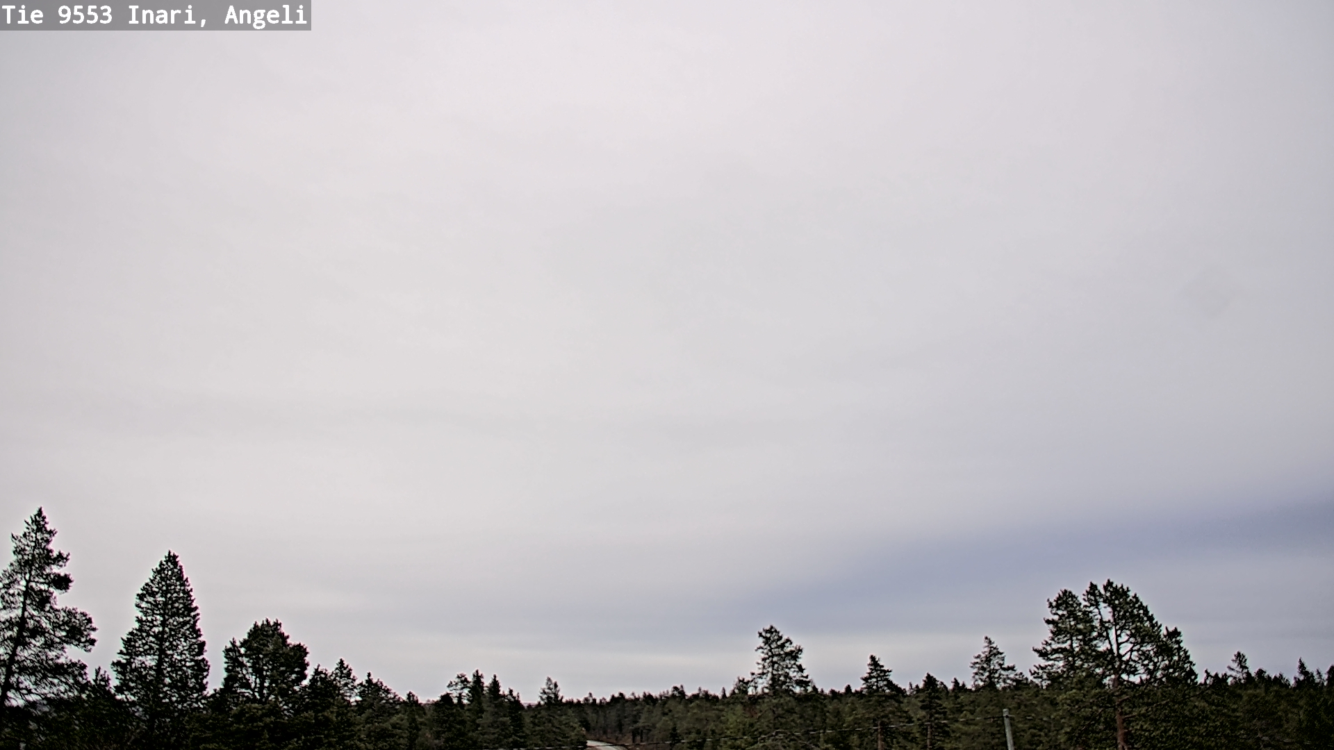 Kelikamerat Kuva Tie 9553 Inari, Angeli, Lintupuolivaara, Inari, Lappi