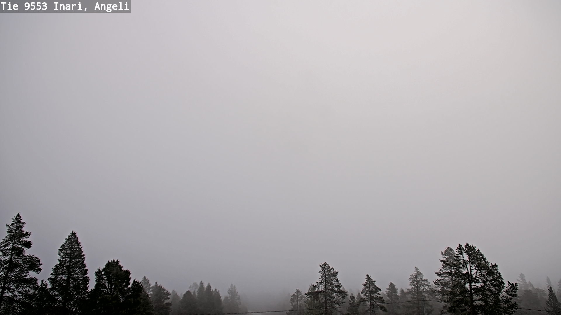 Weather Camera Image Road 9553 Inari, Angeli, Lintupuolivaara, Inari, Lappi