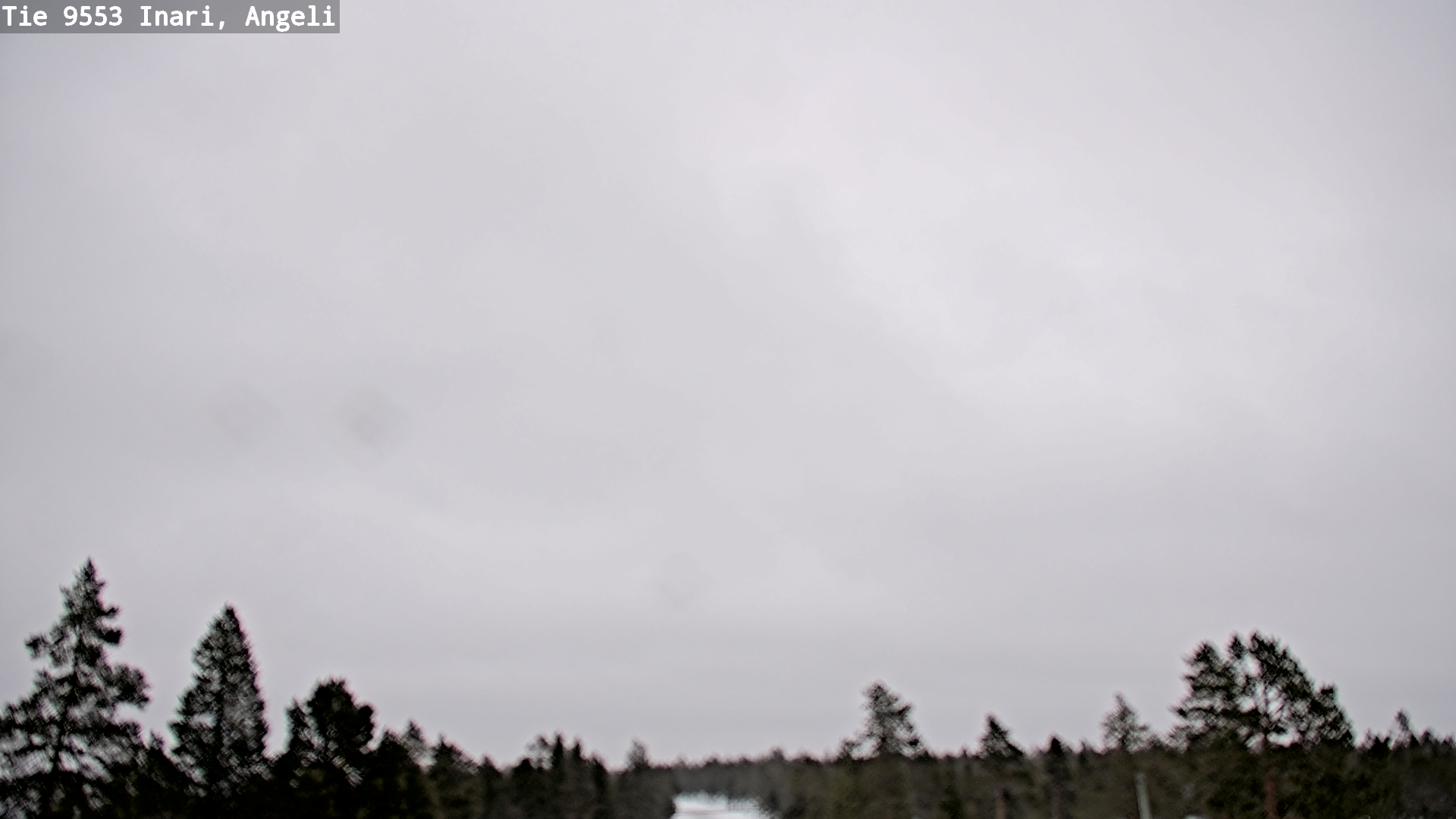 Kelikamerat Kuva Tie 9553 Inari, Angeli, Lintupuolivaara, Inari, Lappi