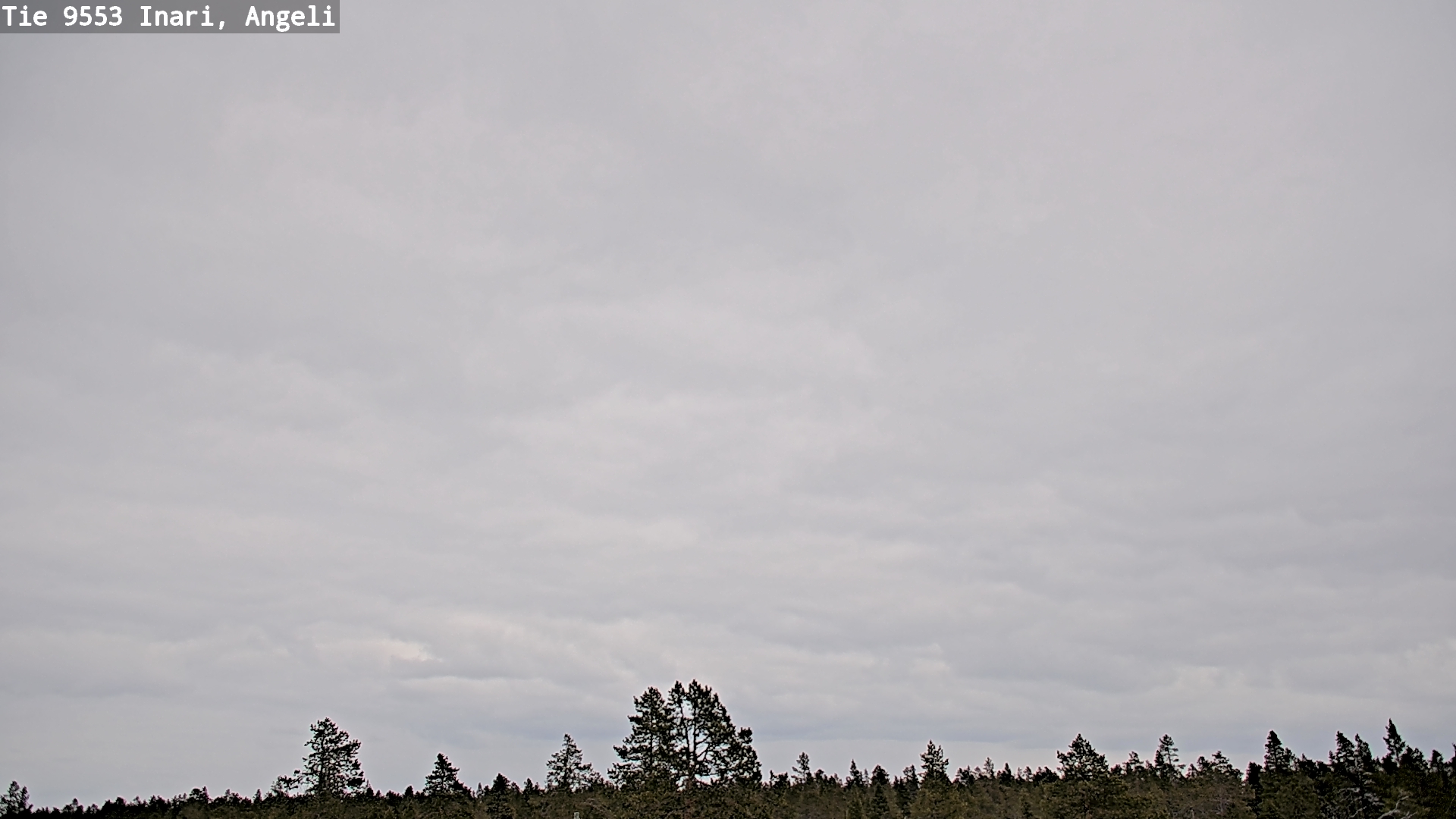 Weather Camera Image Road 9553 Inari, Angeli, Lintupuolivaara, Inari, Lappi