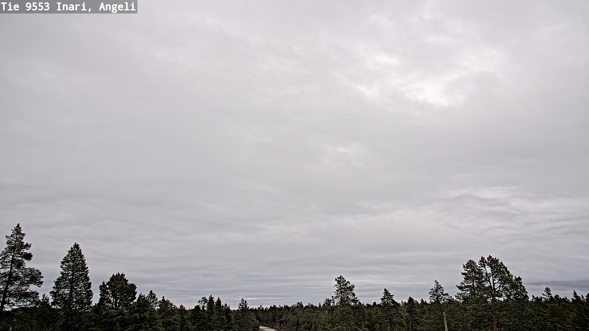 Kelikamerat Kuva Tie 9553 Inari, Angeli, Lintupuolivaara, Inari, Lappi