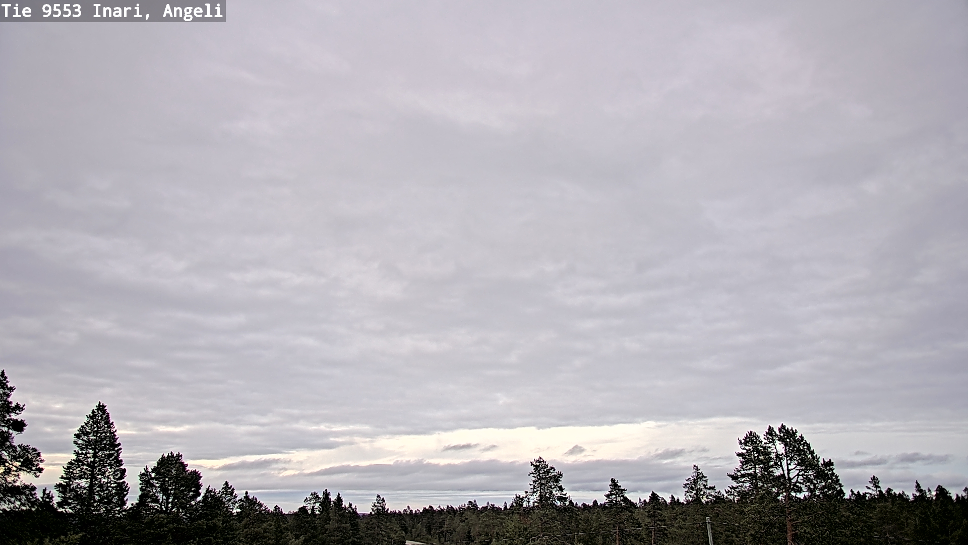 Kelikamerat Kuva Tie 9553 Inari, Angeli, Lintupuolivaara, Inari, Lappi