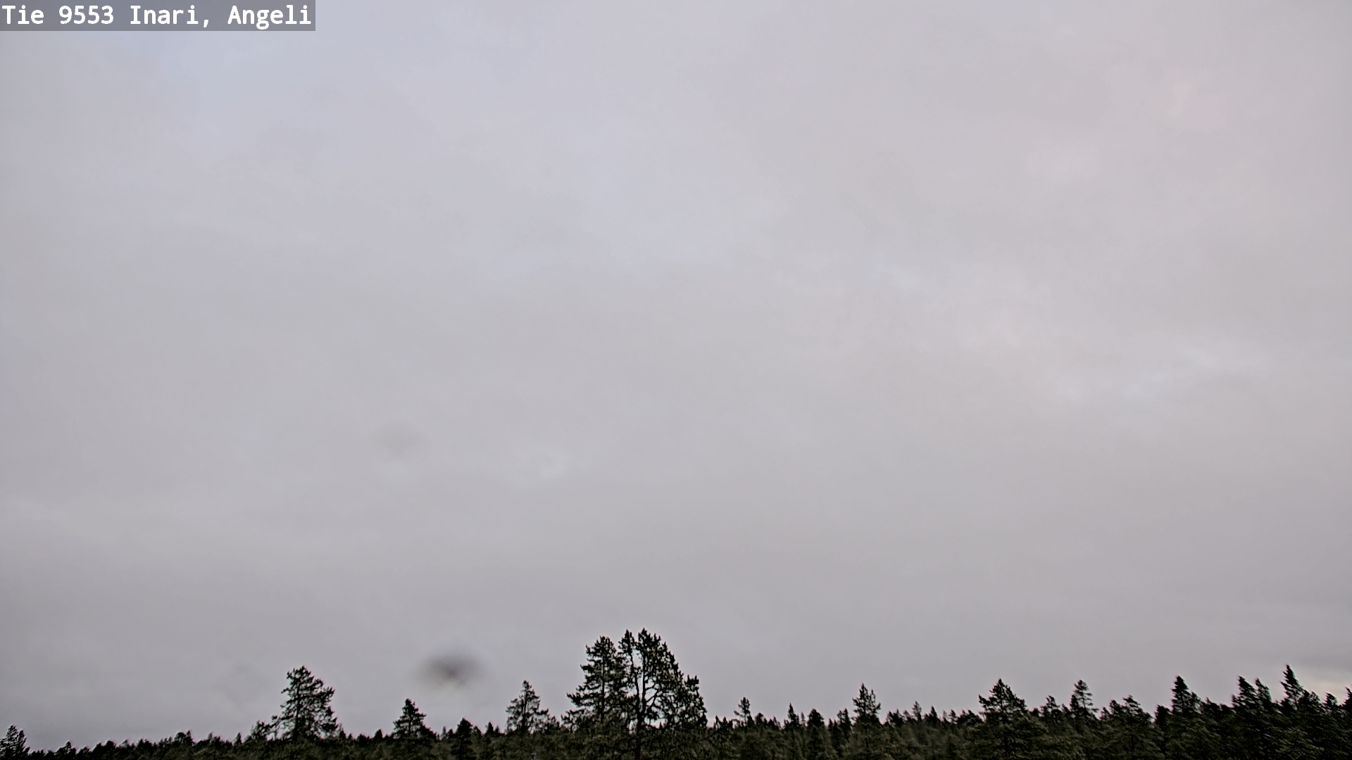 Kelikamerat Kuva Tie 9553 Inari, Angeli, Lintupuolivaara, Inari, Lappi