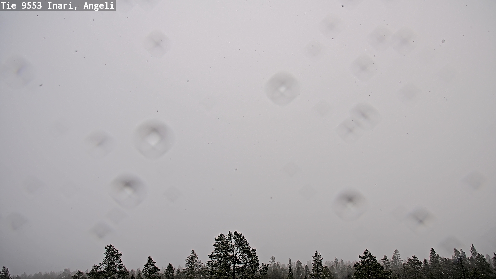 Kelikamerat Kuva Tie 9553 Inari, Angeli, Lintupuolivaara, Inari, Lappi