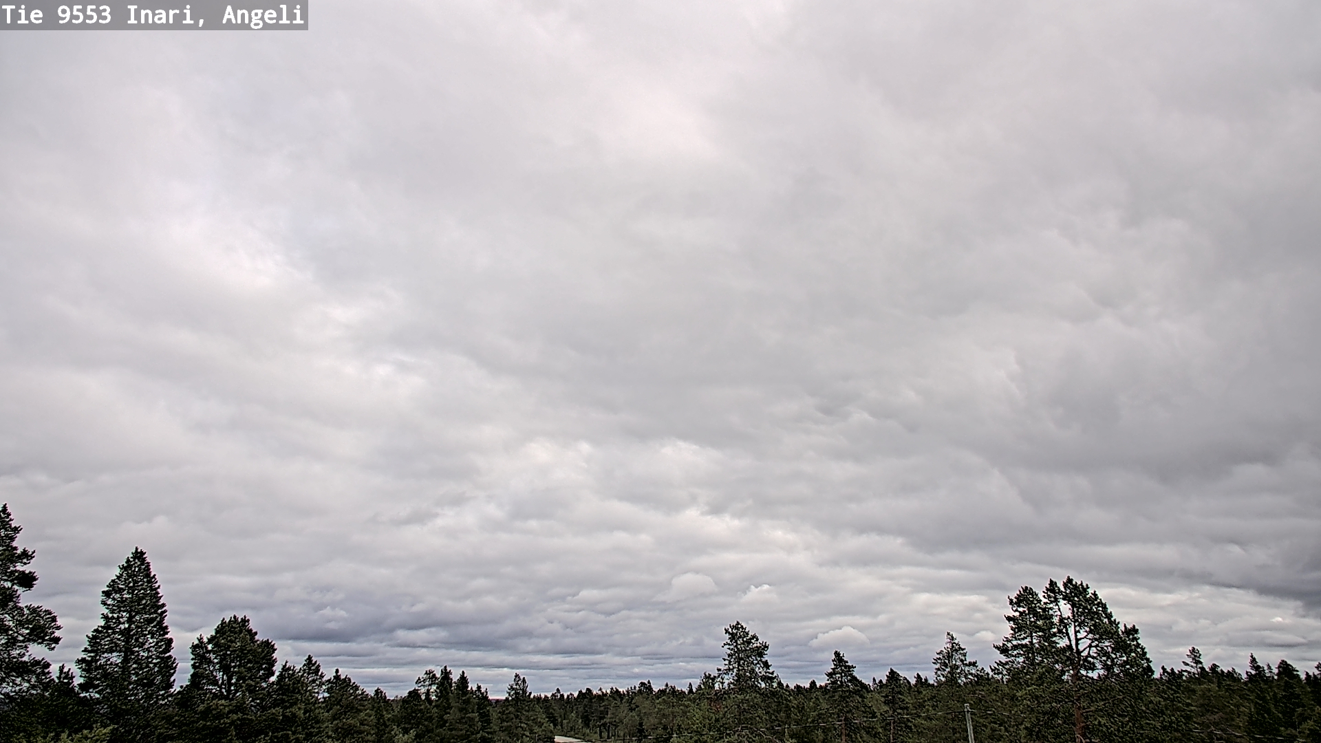 Kelikamerat Kuva Tie 9553 Inari, Angeli, Lintupuolivaara, Inari, Lappi