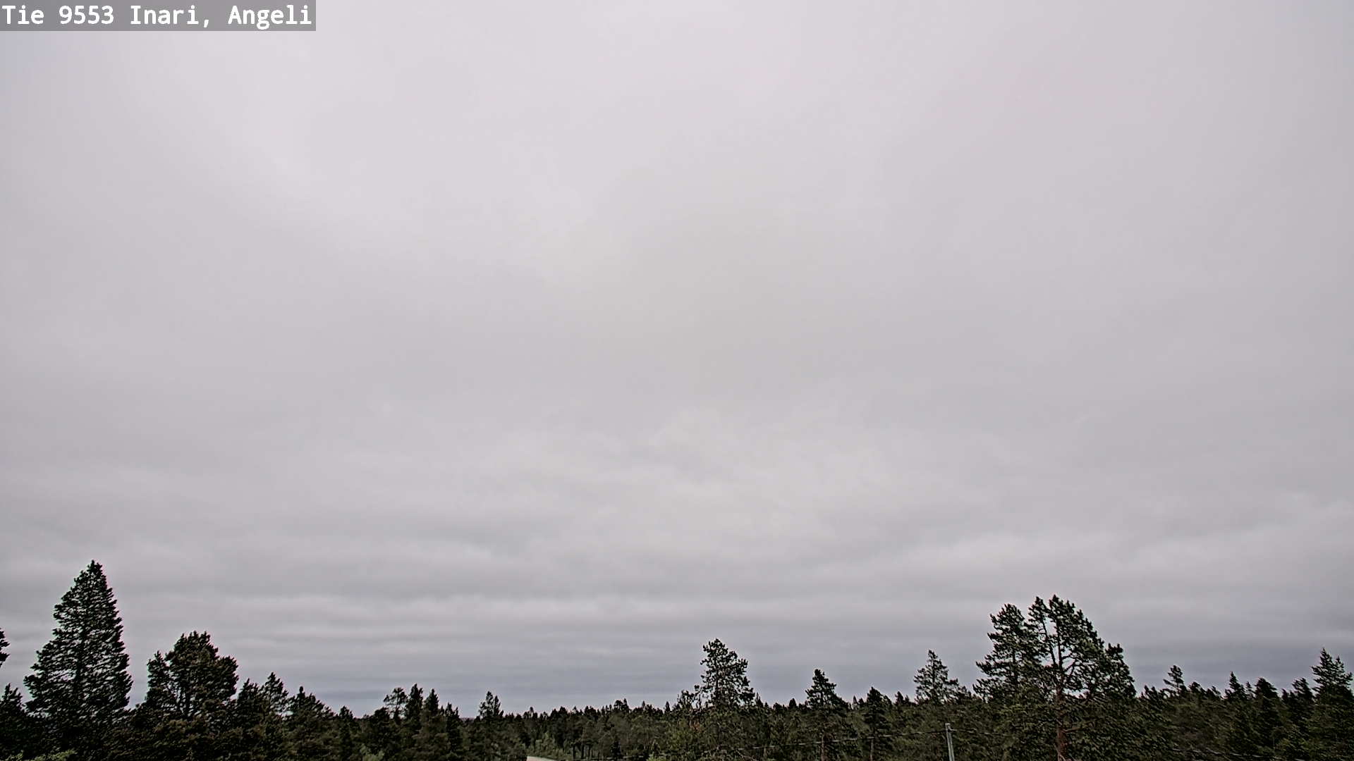Weather Camera Image Road 9553 Inari, Angeli, Lintupuolivaara, Inari, Lappi