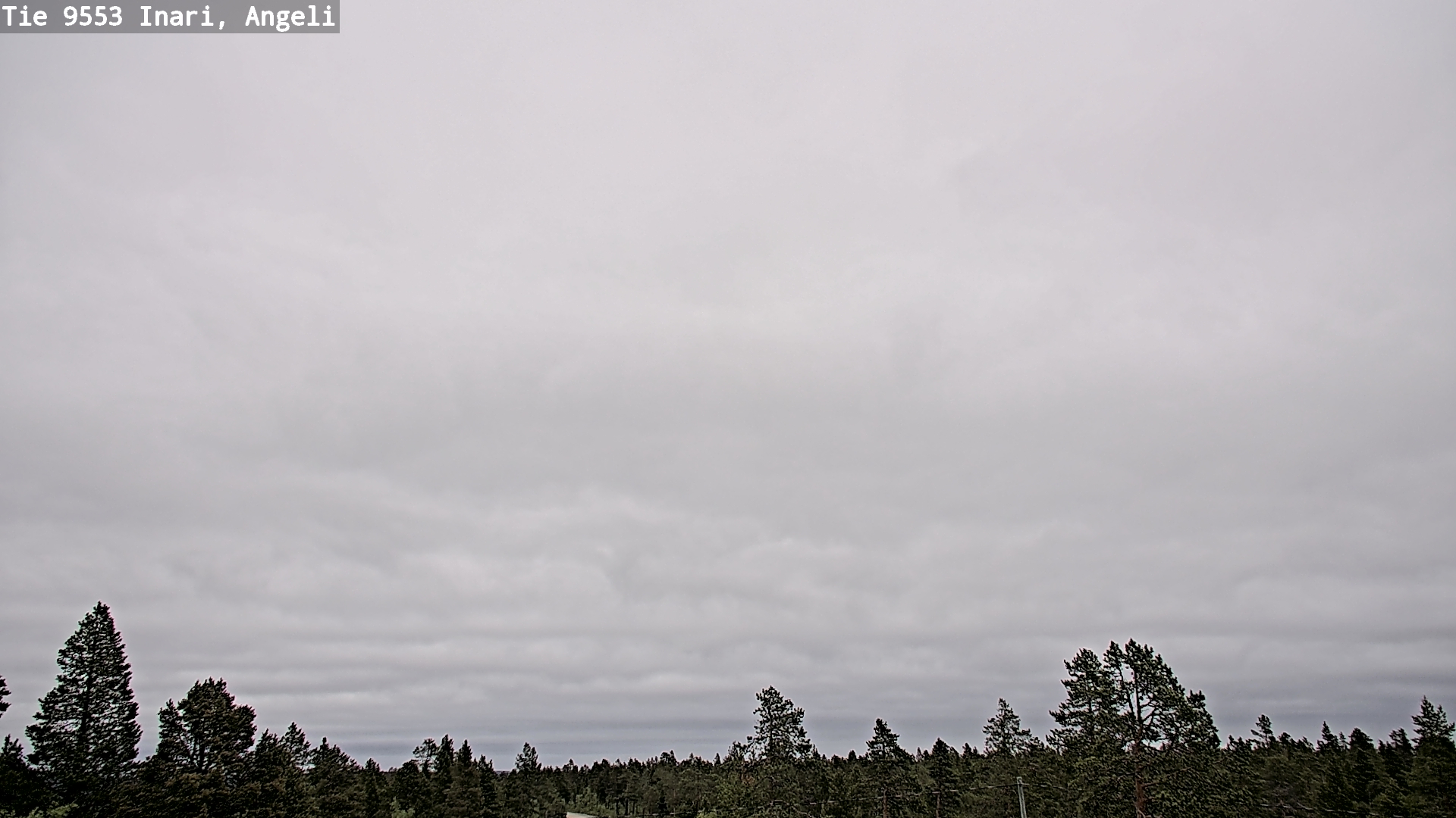 Weather Camera Image Road 9553 Inari, Angeli, Lintupuolivaara, Inari, Lappi