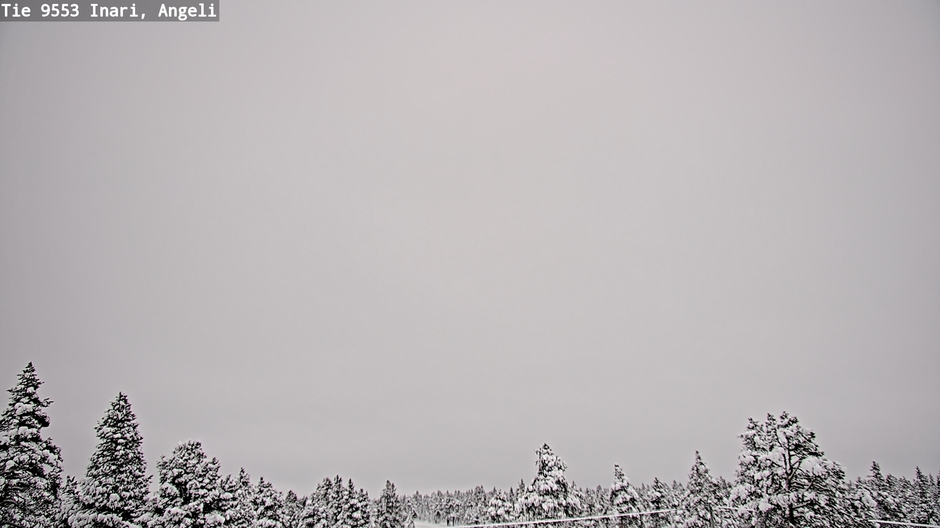 Kelikamerat Kuva Tie 9553 Inari, Angeli, Lintupuolivaara, Inari, Lappi