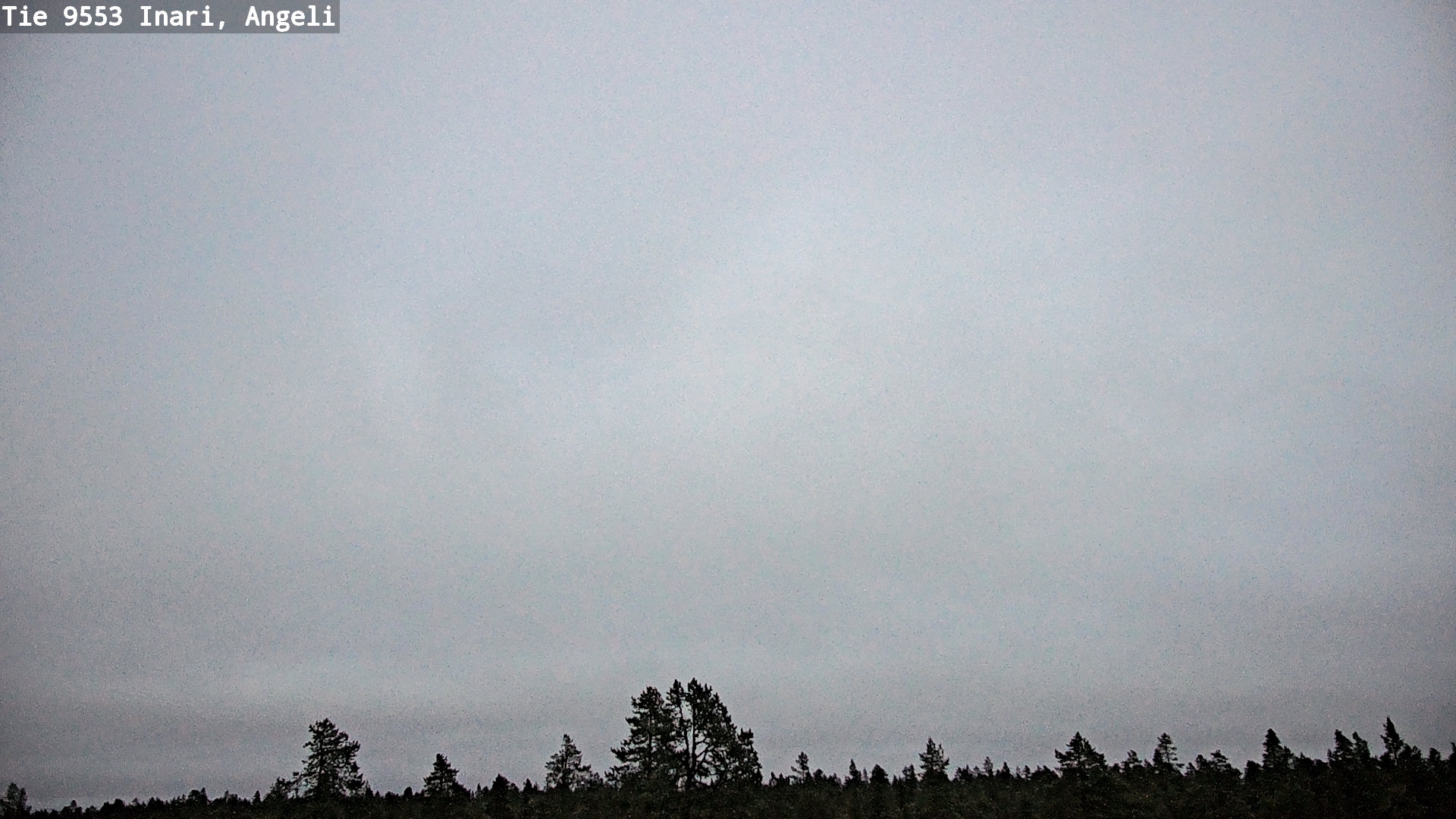 Kelikamerat Kuva Tie 9553 Inari, Angeli, Lintupuolivaara, Inari, Lappi