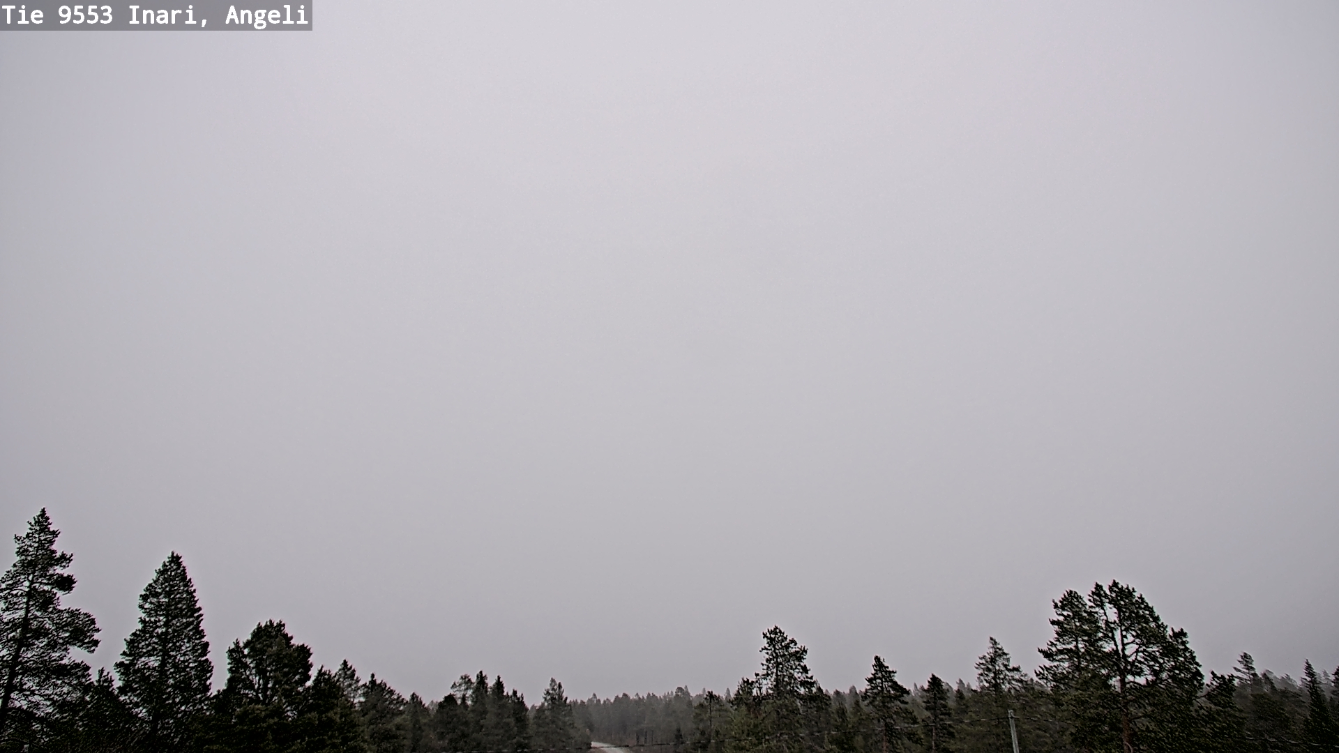 Kelikamerat Kuva Tie 9553 Inari, Angeli, Lintupuolivaara, Inari, Lappi